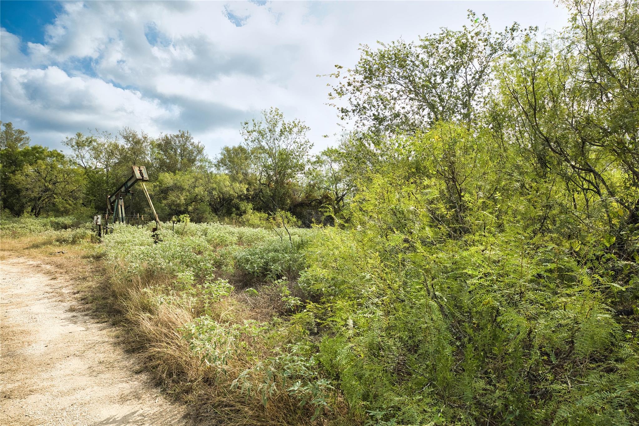 2900 Salt Flat Rd Property Photo 7