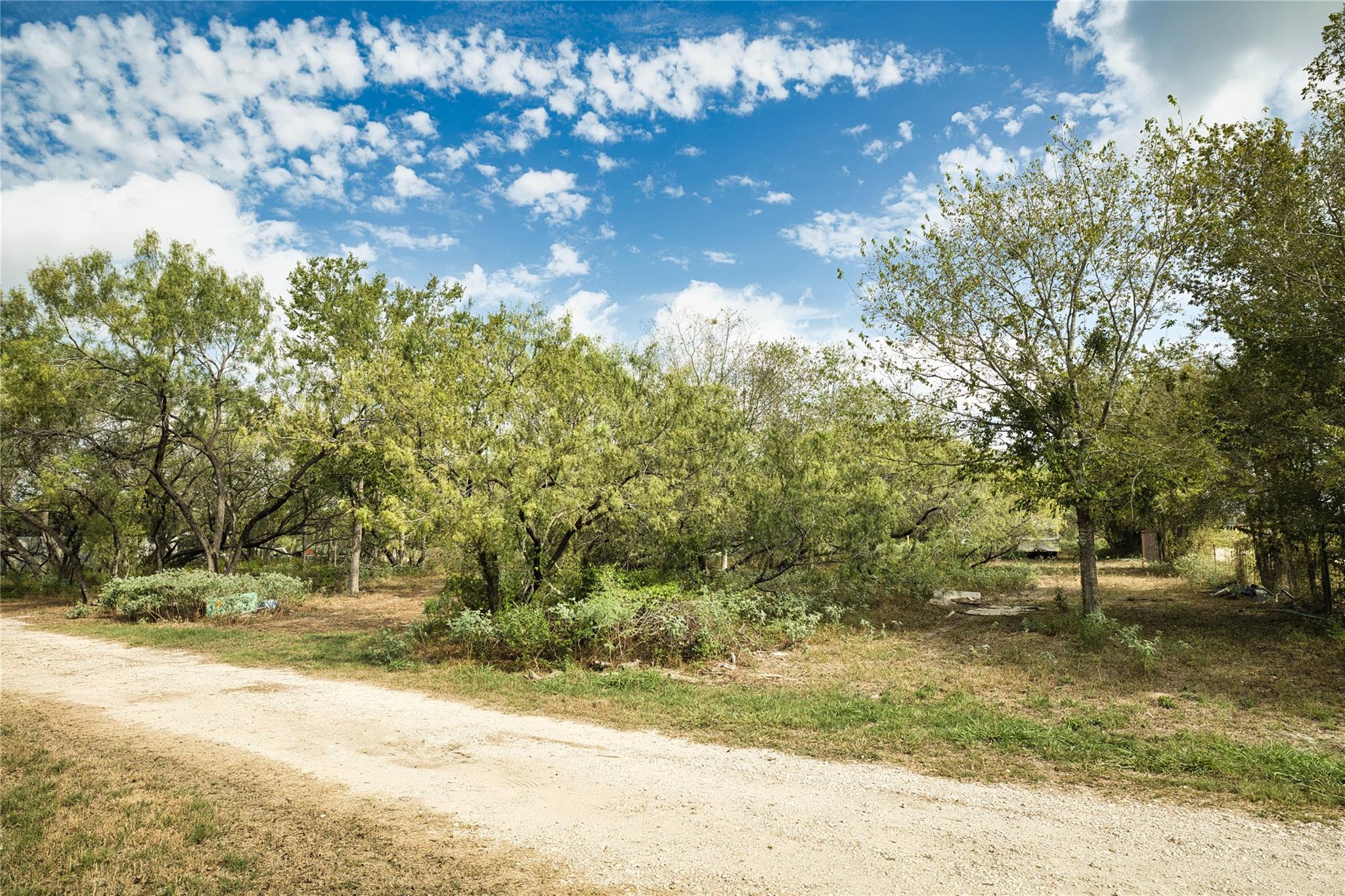 2900 Salt Flat Rd Property Photo 8