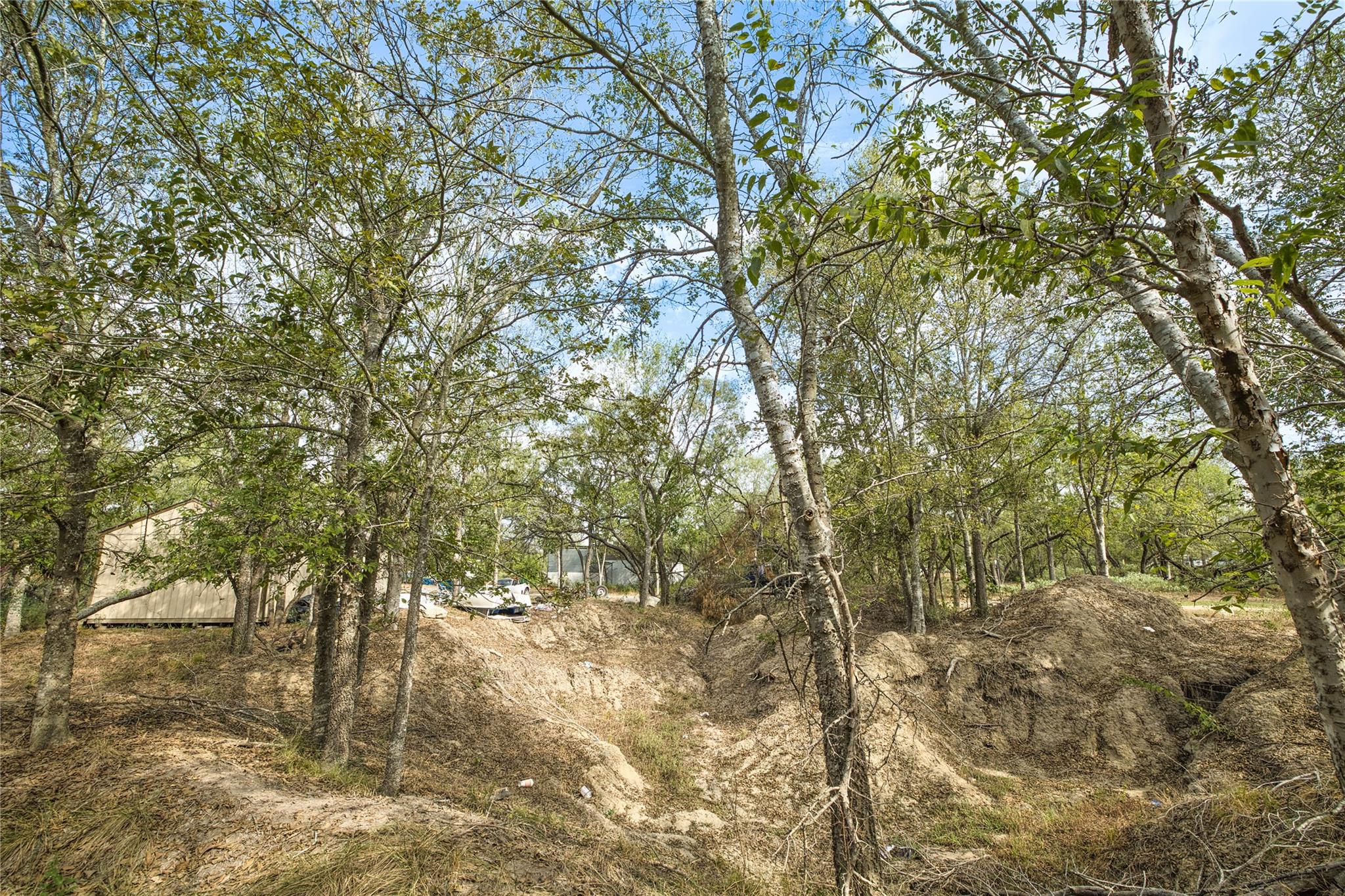 2900 Salt Flat Rd Property Photo 9