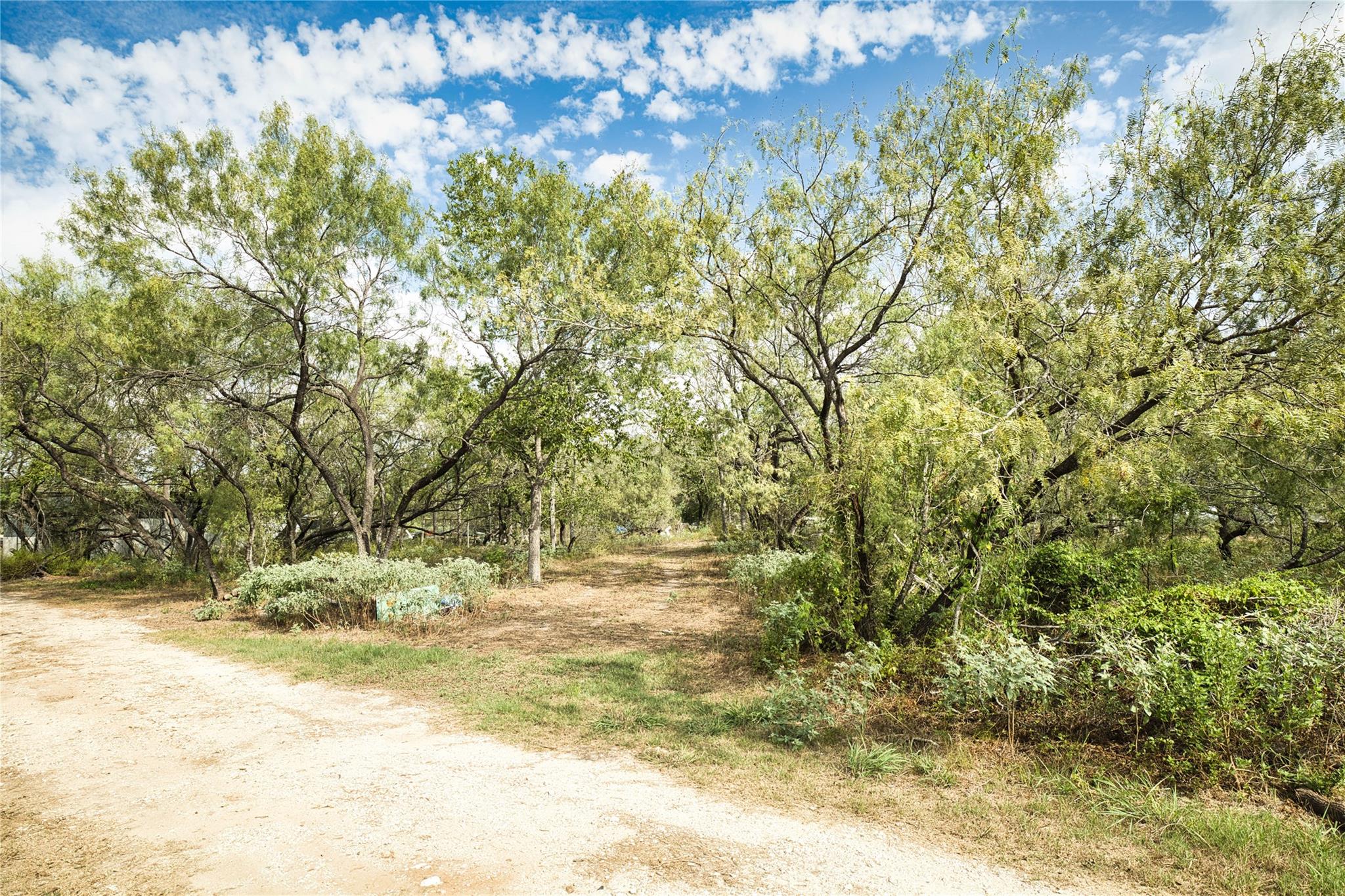 2900 Salt Flat Rd Property Photo 11