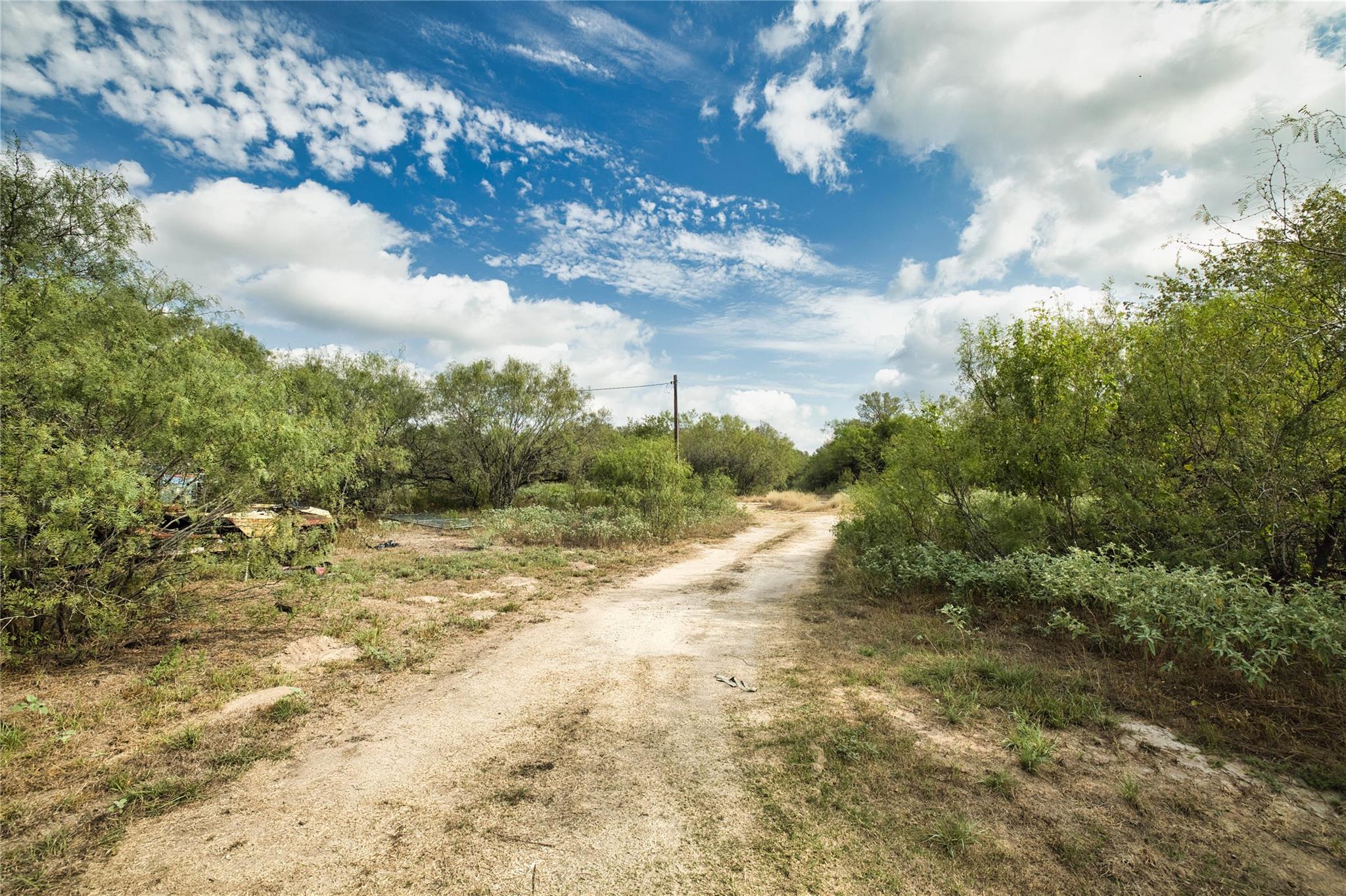2900 Salt Flat Rd Property Photo 15