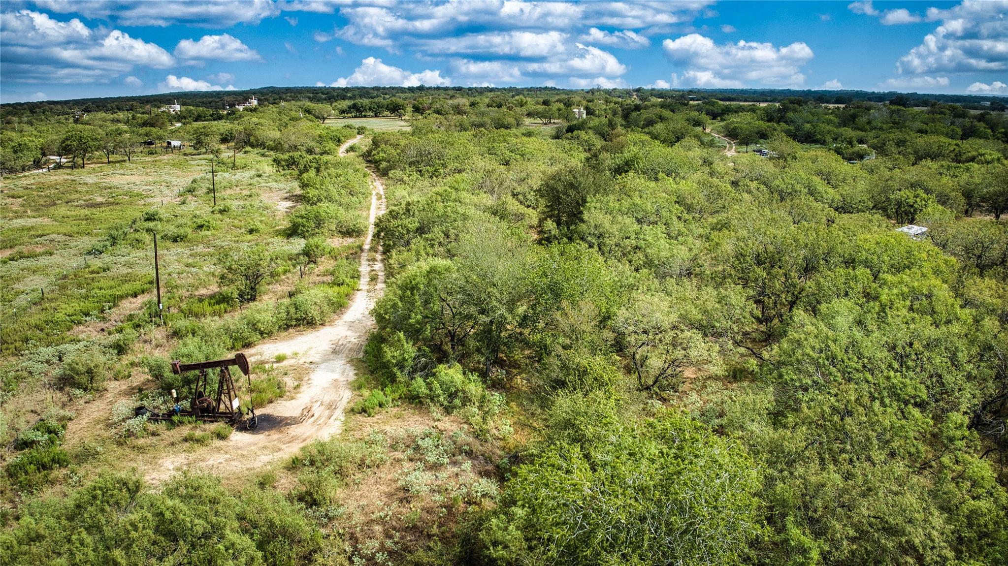 2900 Salt Flat Rd Property Photo 16