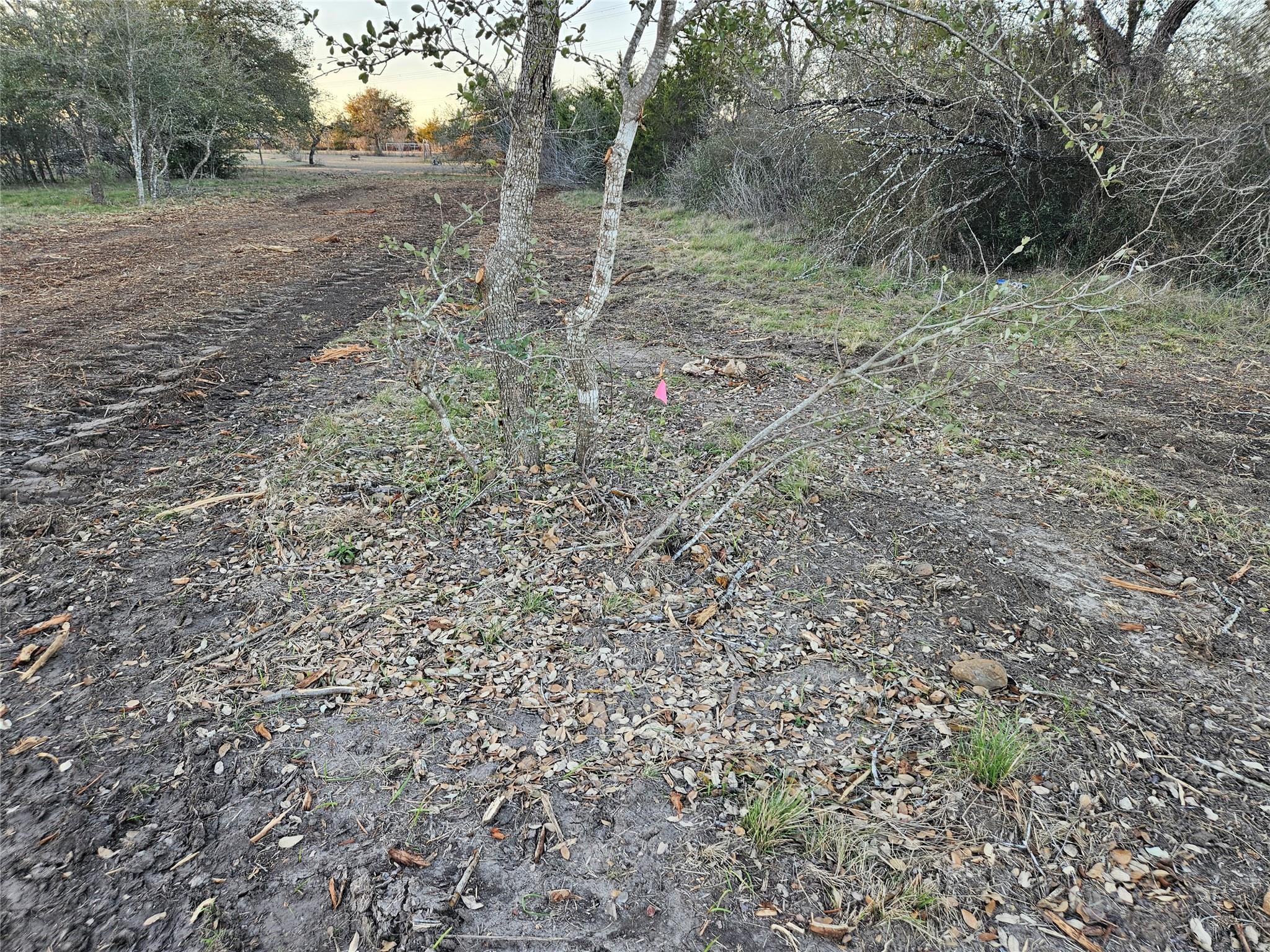 610 Seminole Trl Property Photo 6