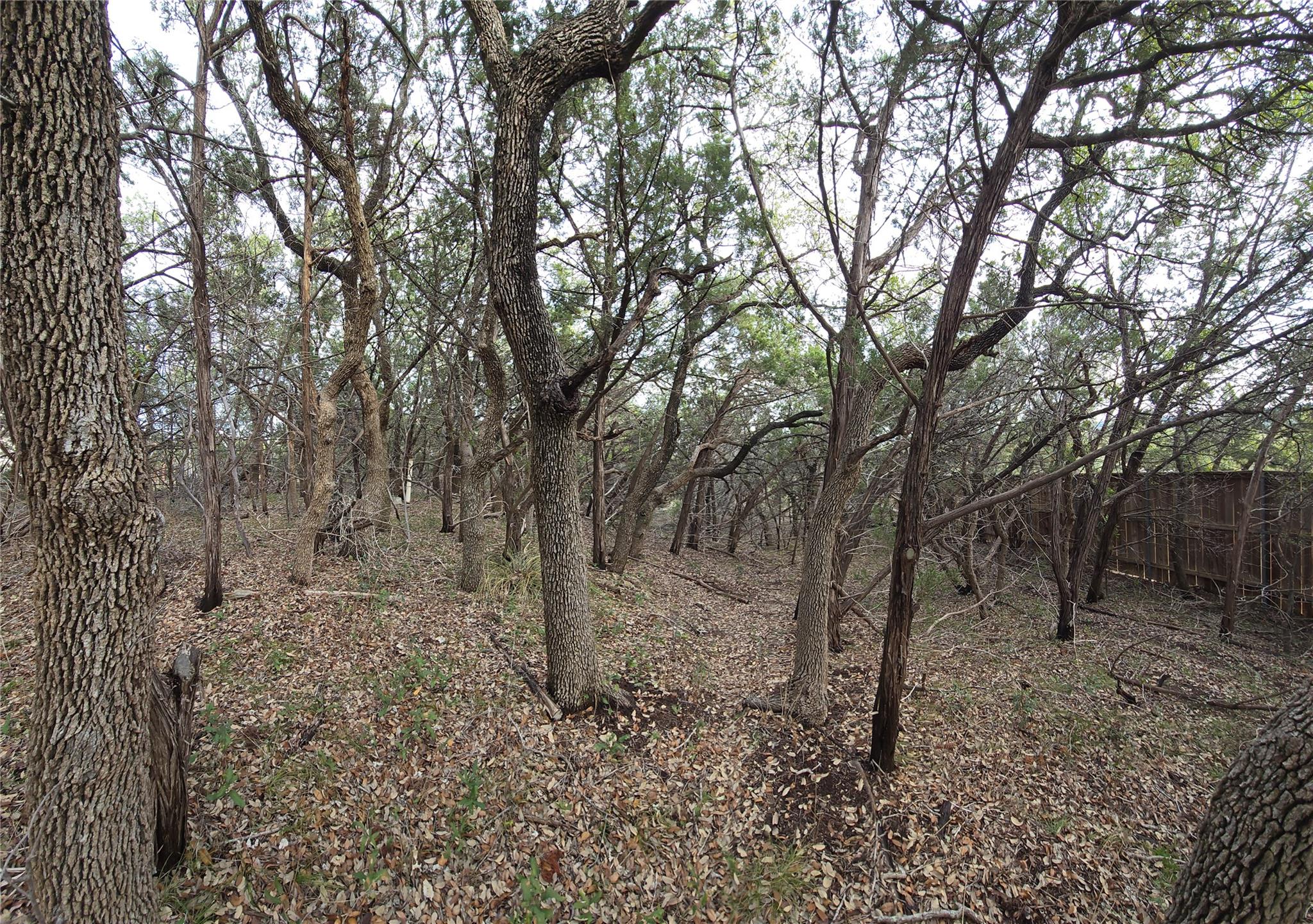15101 Foy Dr Property Photo 35