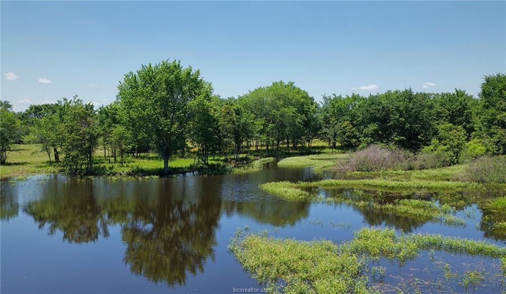 5380 County Road 132 (+/-81 Acres) None Property Photo 32