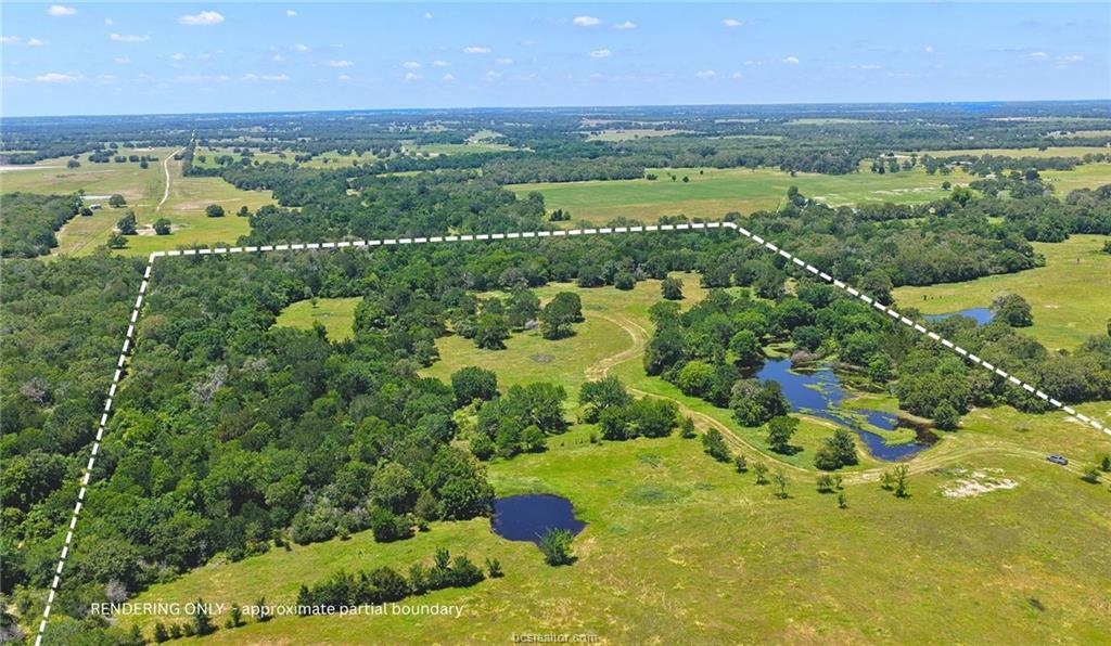 5380 County Road 132 (+/-81 Acres) None Property Photo 34