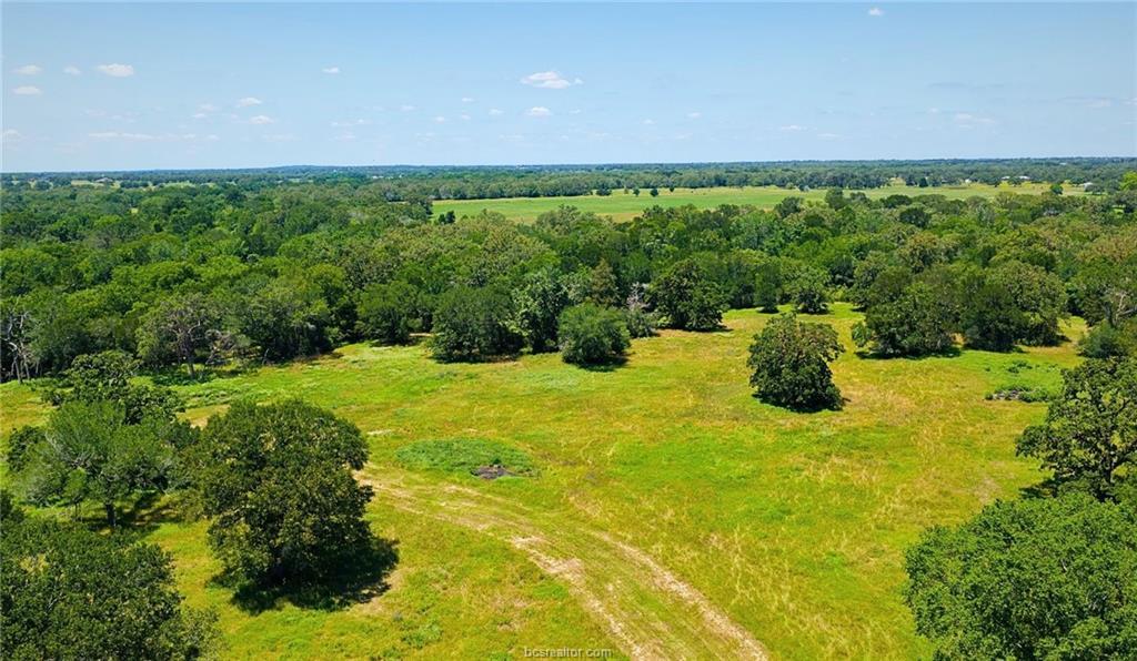 5380 County Road 132 (+/-81 Acres) None Property Photo 35