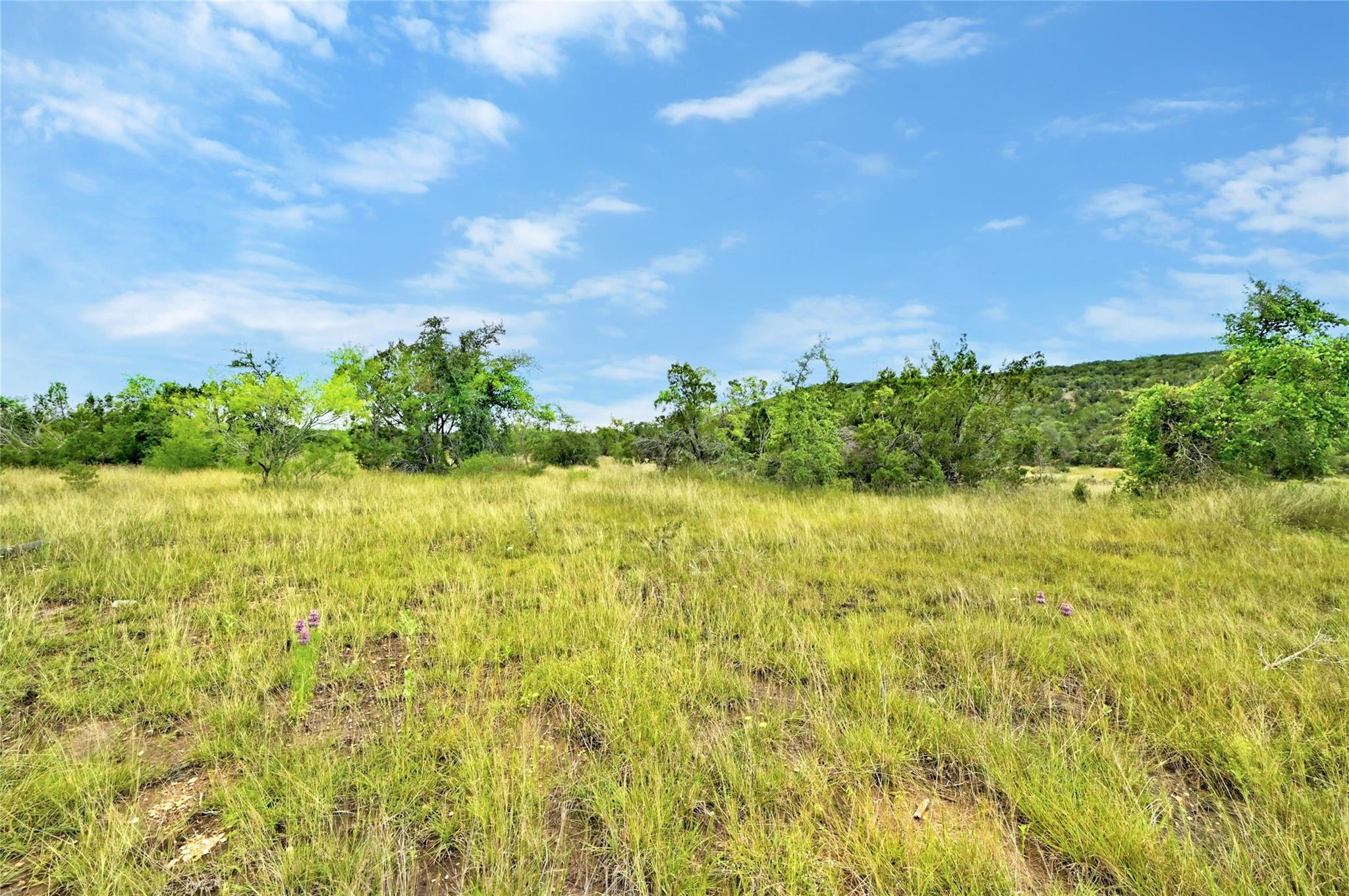 5408 Spring Preserve Trl Property Photo 2