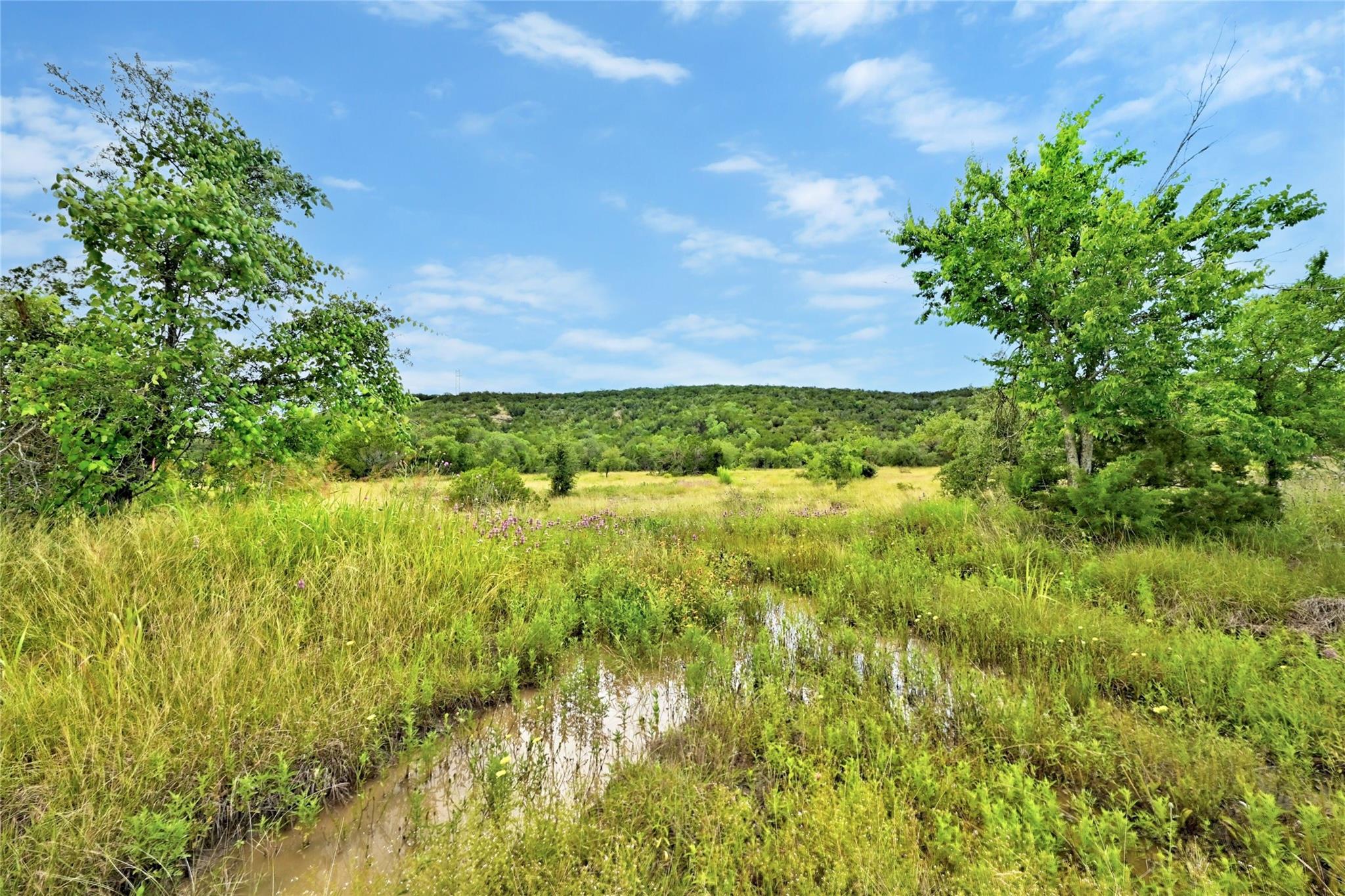 5408 Spring Preserve Trl Property Photo 3