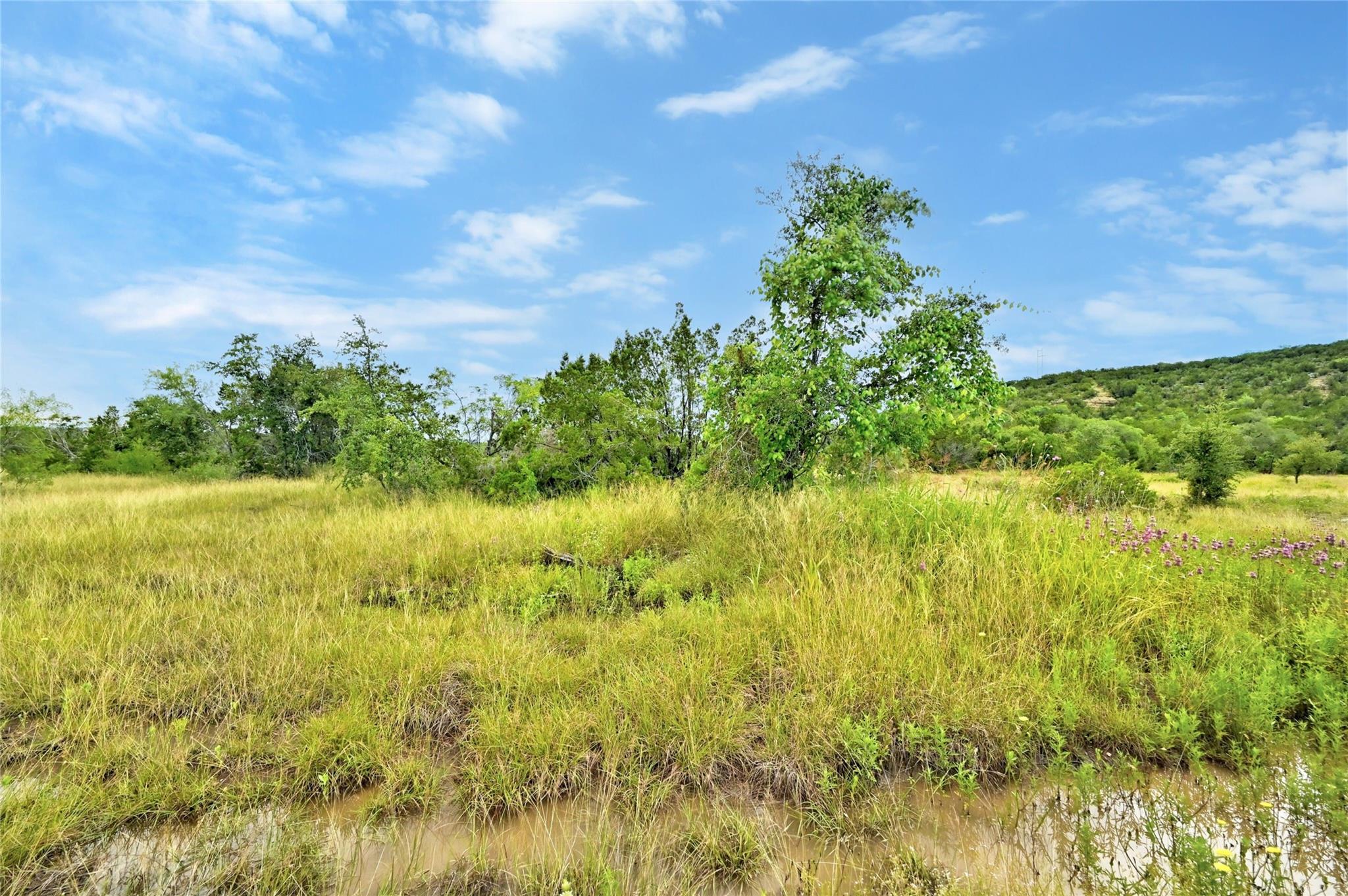 5408 Spring Preserve Trl Property Photo 6