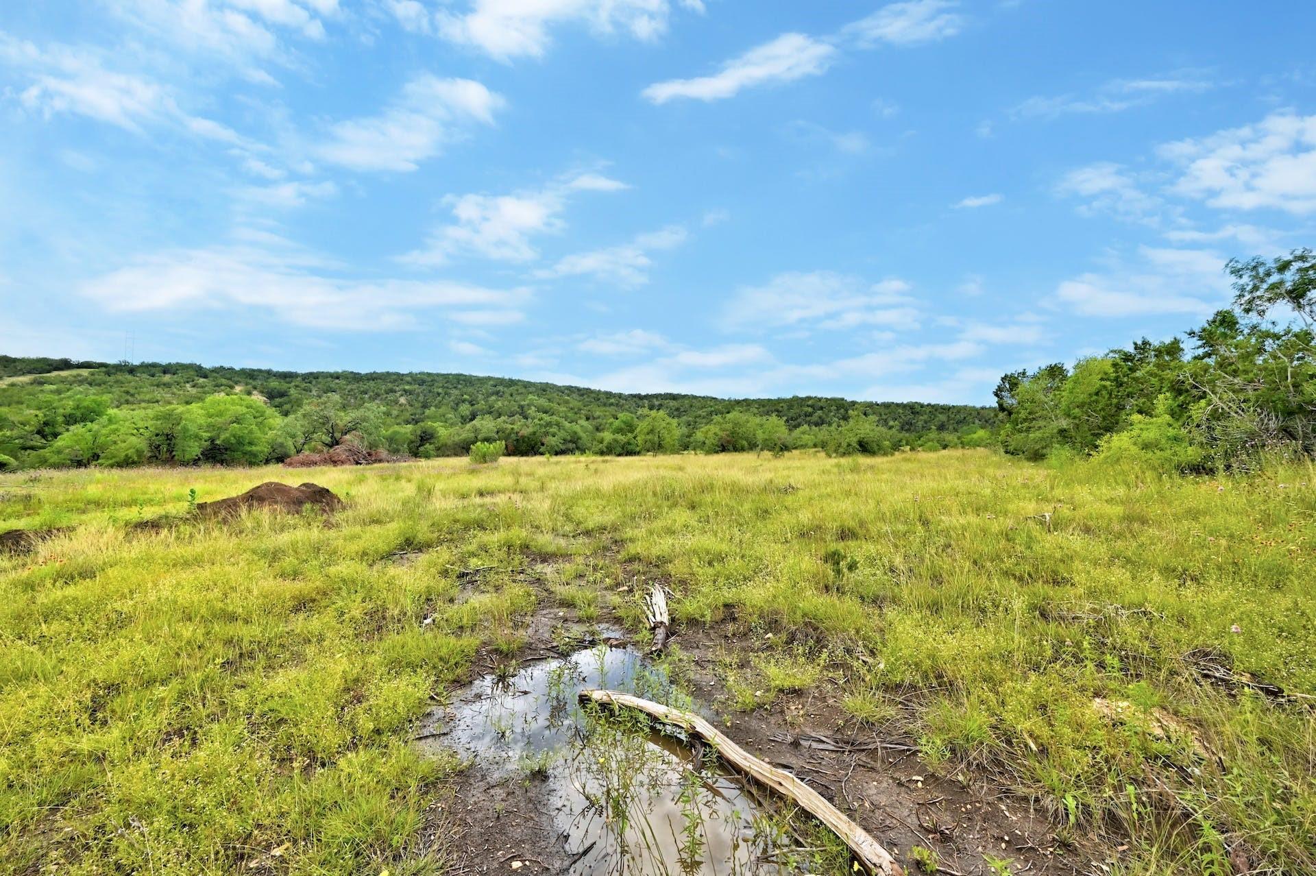 5408 Spring Preserve Trl Property Photo 8