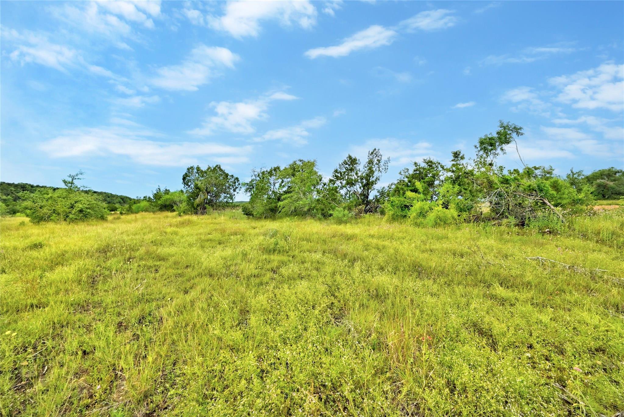 5408 Spring Preserve Trl Property Photo 10