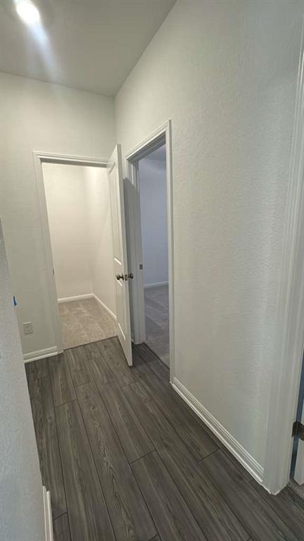 444 Breccia Trl Property Photo 7