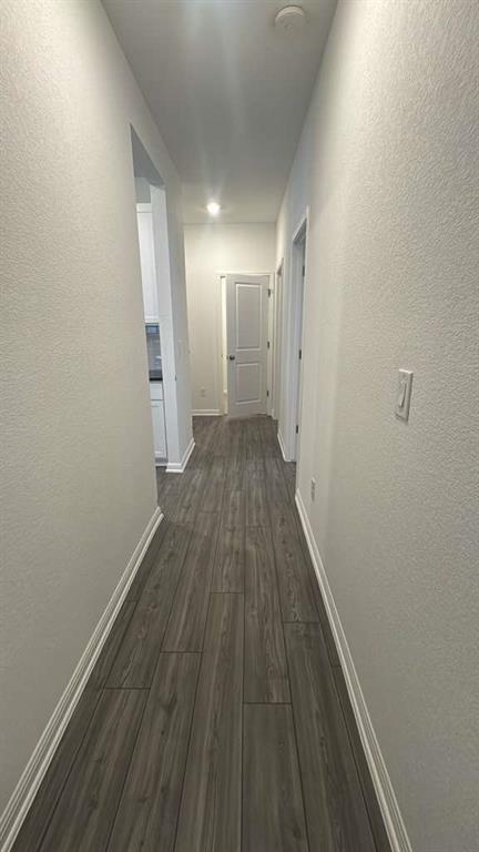 444 Breccia Trl Property Photo 13
