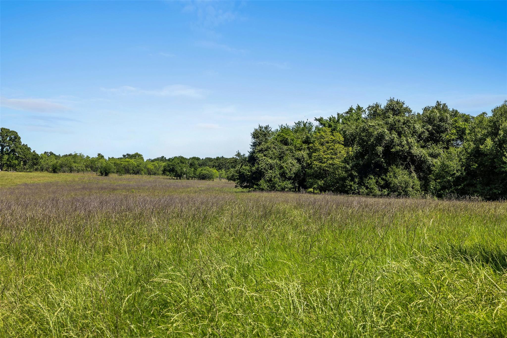 Tbd Cr 270 None Property Photo 3