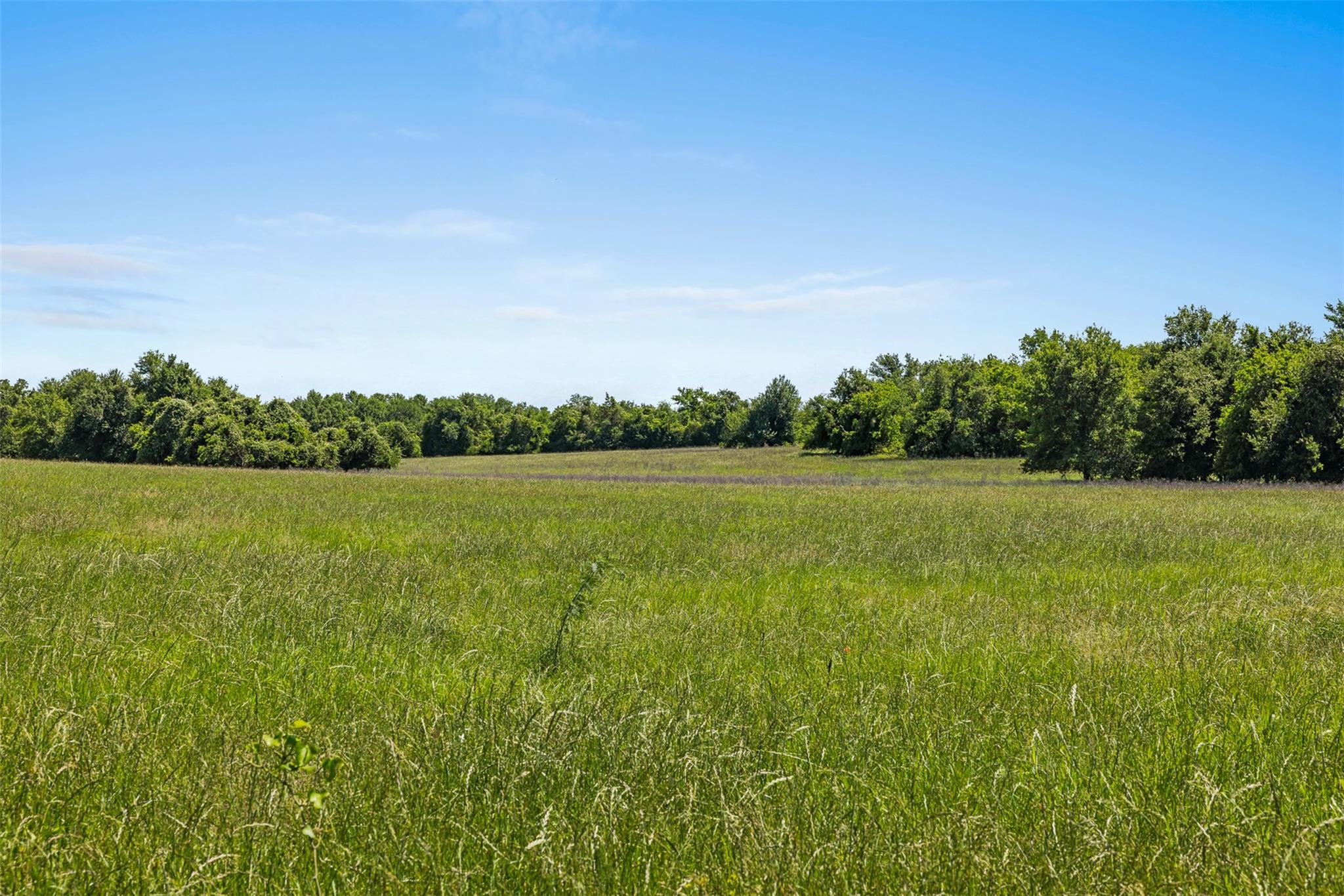 Tbd Cr 270 None Property Photo 4