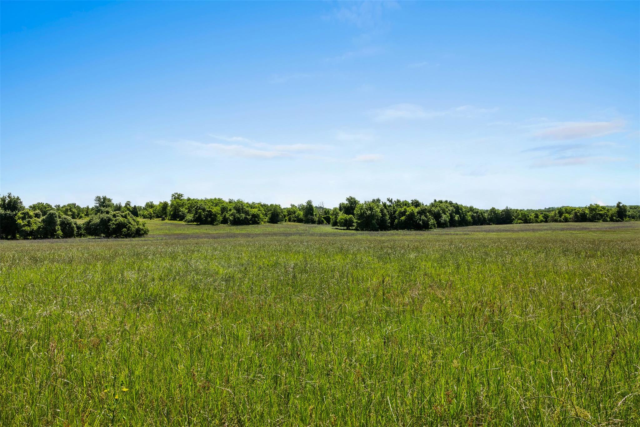 Tbd Cr 270 None Property Photo 6