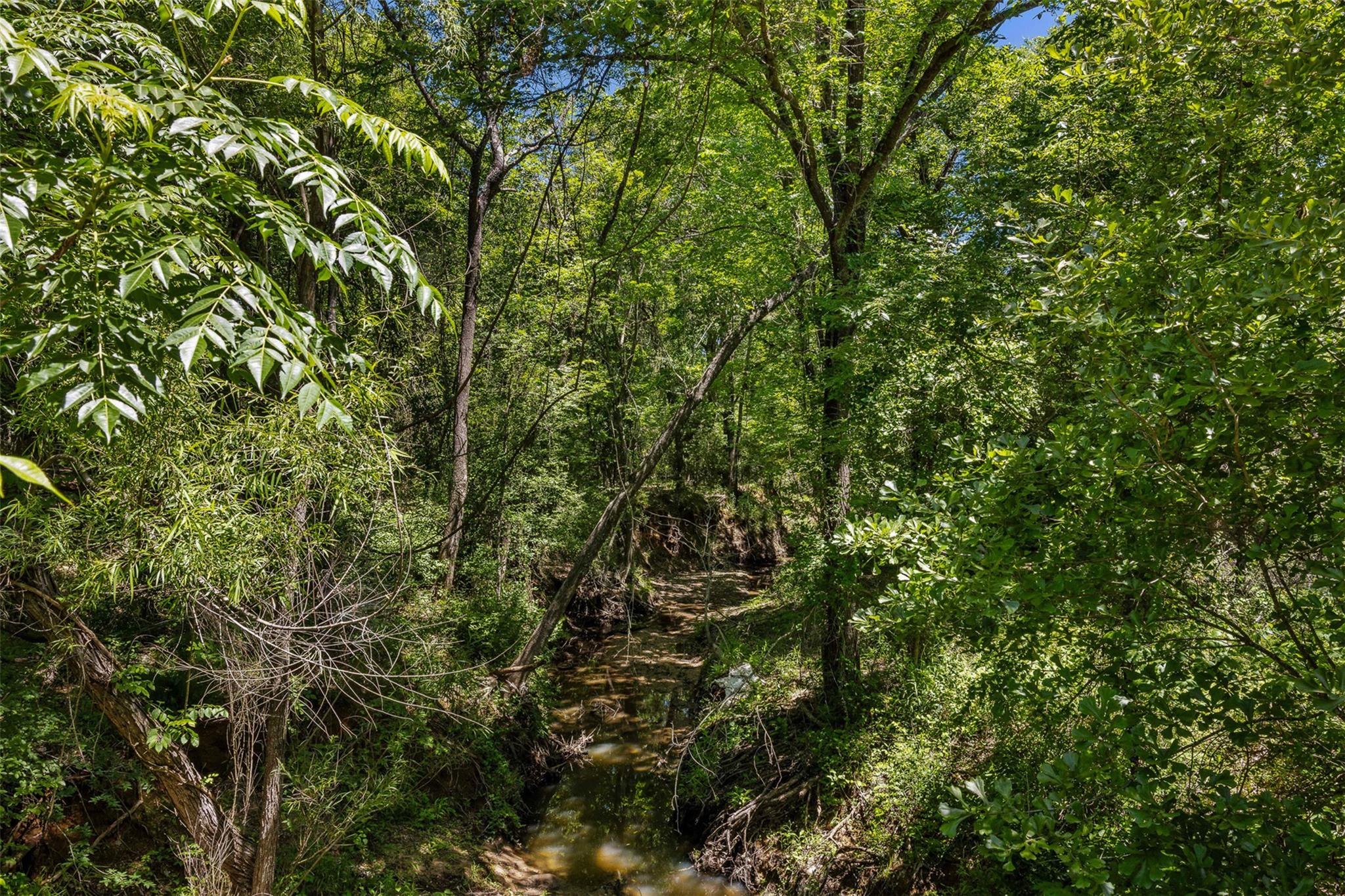 Tbd Cr 270 None Property Photo 14