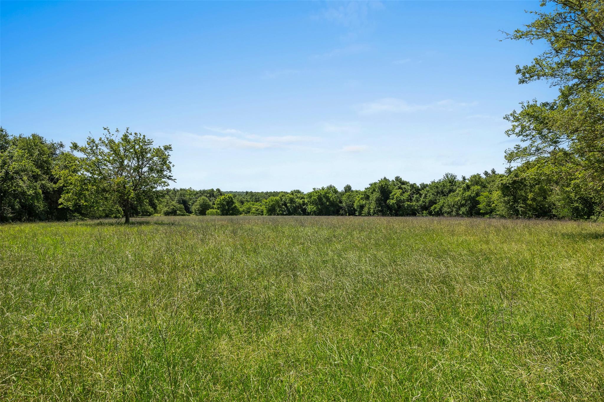 Tbd Cr 270 None Property Photo 15