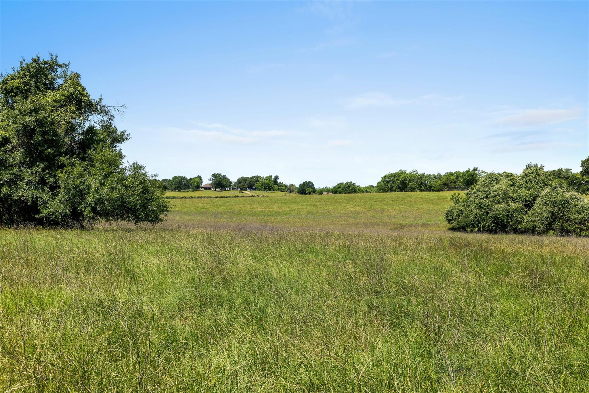 Tbd Cr 270 None Property Photo 16