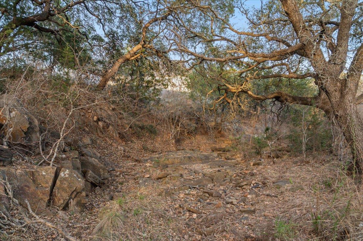 104 Lost Buck Property Photo 11