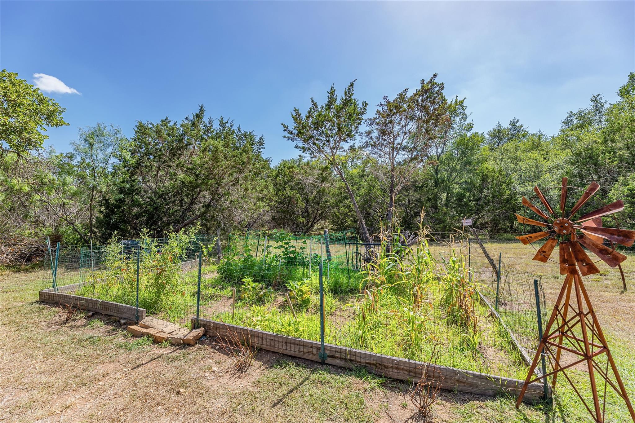 103 Paloma Pl Property Photo 34
