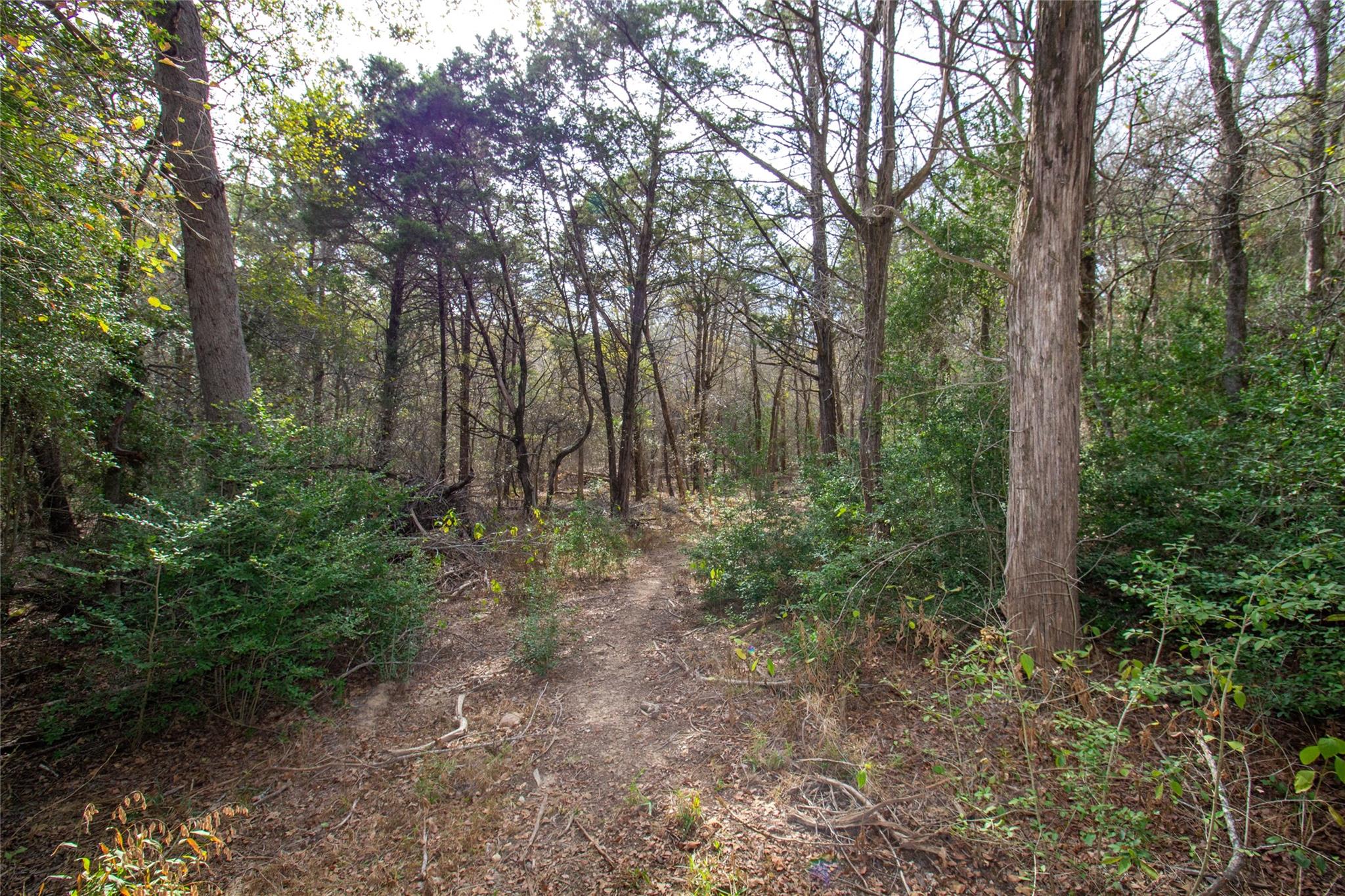 Tbd Hanauma Property Photo 6