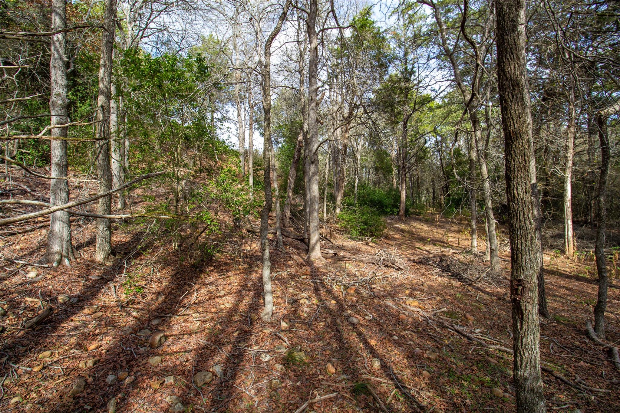 Tbd Hanauma Property Photo 8