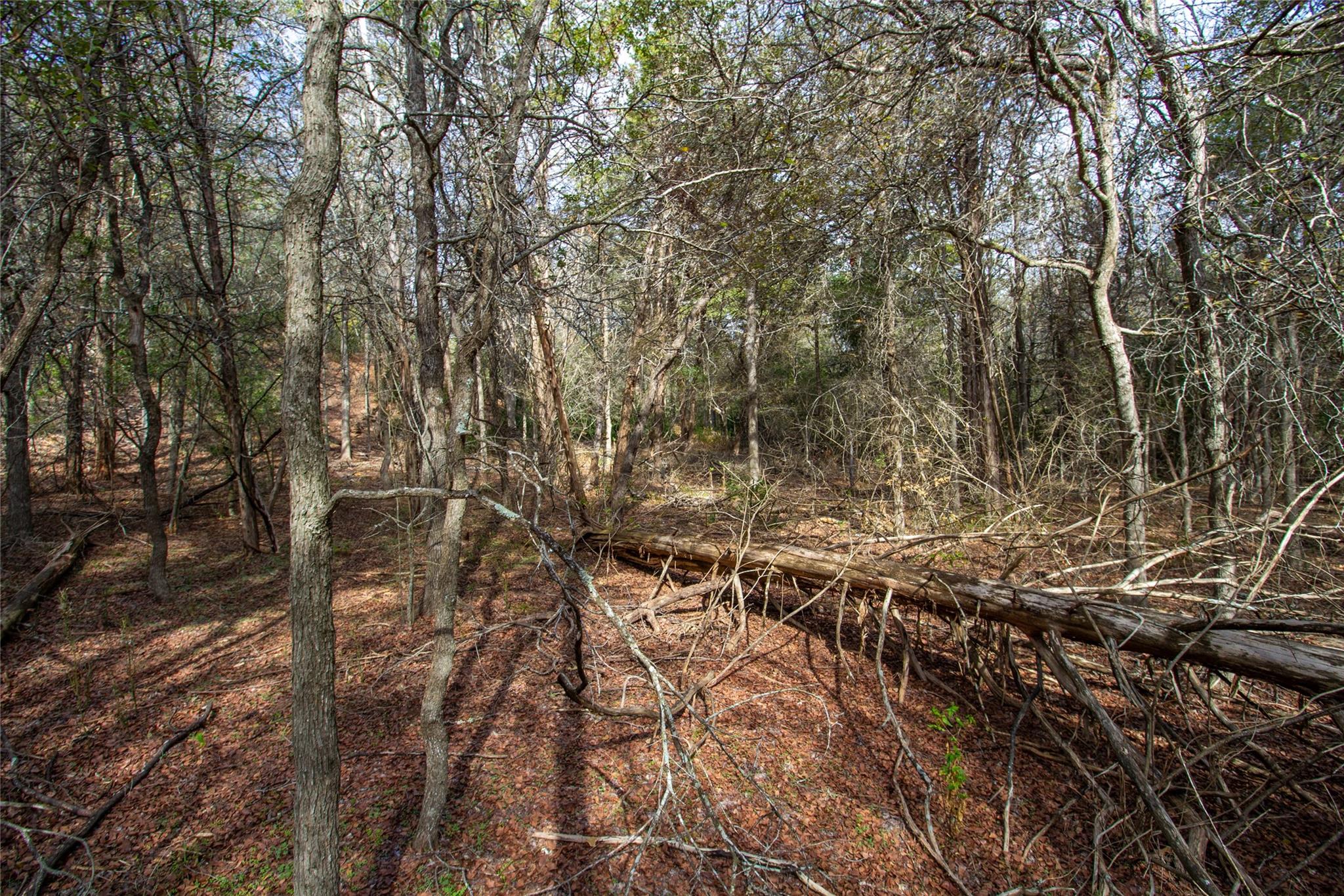 Tbd Hanauma Property Photo 9