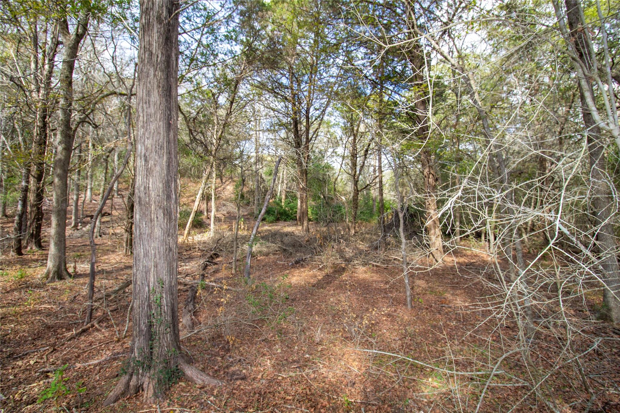 Tbd Hanauma Property Photo 10