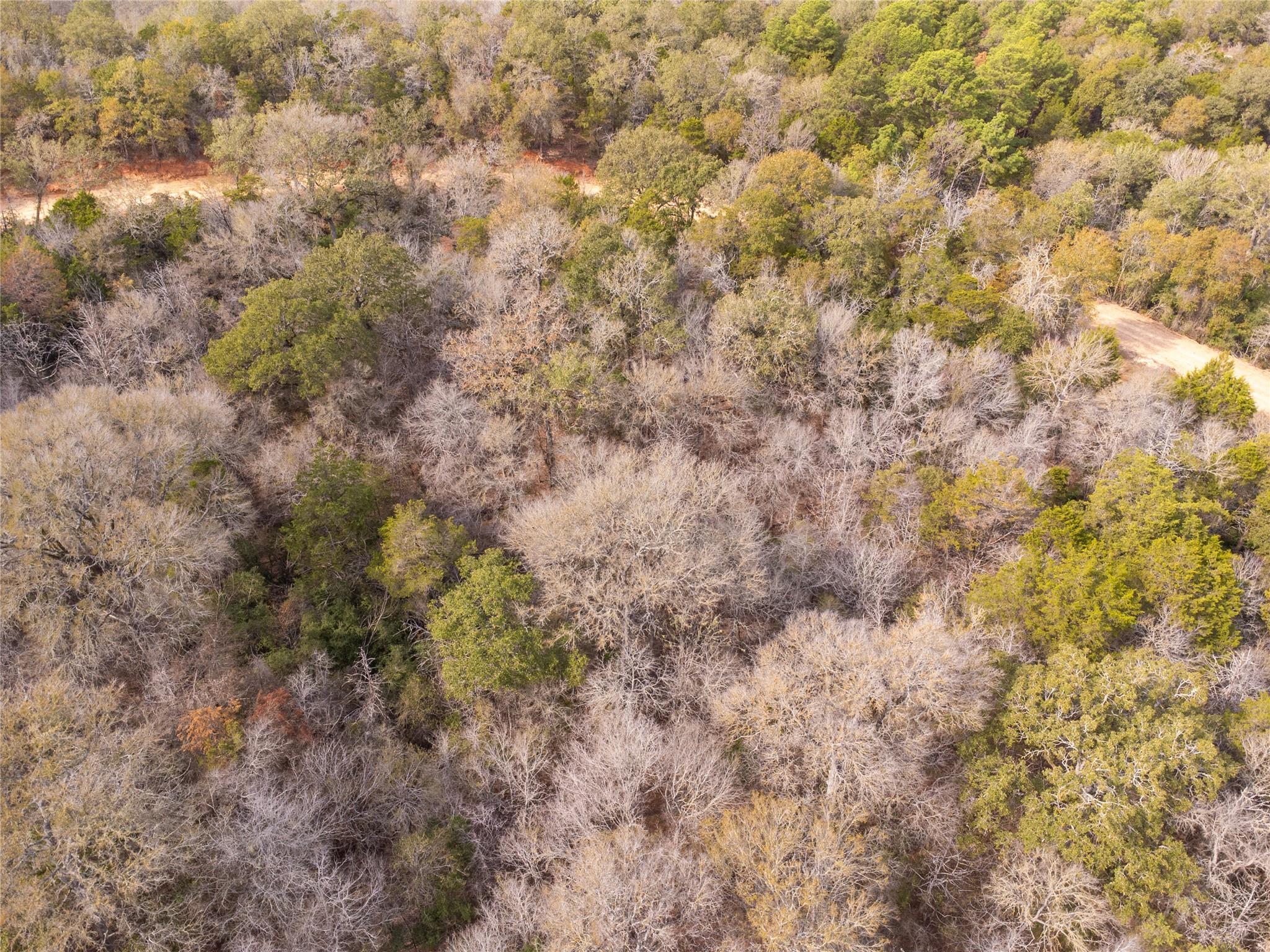 Tbd Hanauma Property Photo 17