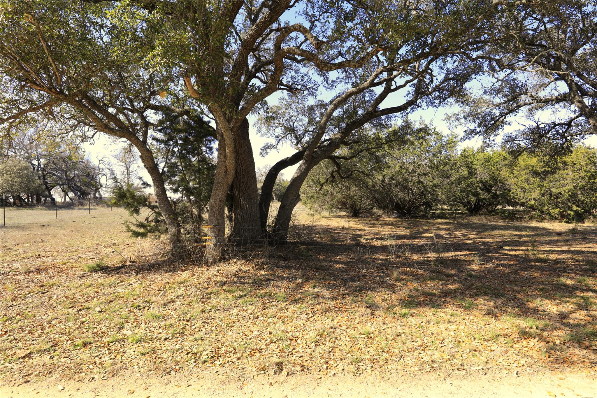 Tbd County Road 3930 Property Photo