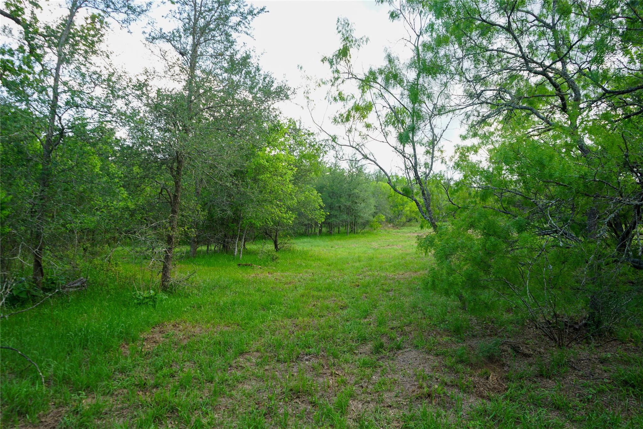 00 Mcdonald Lane None Property Photo 7