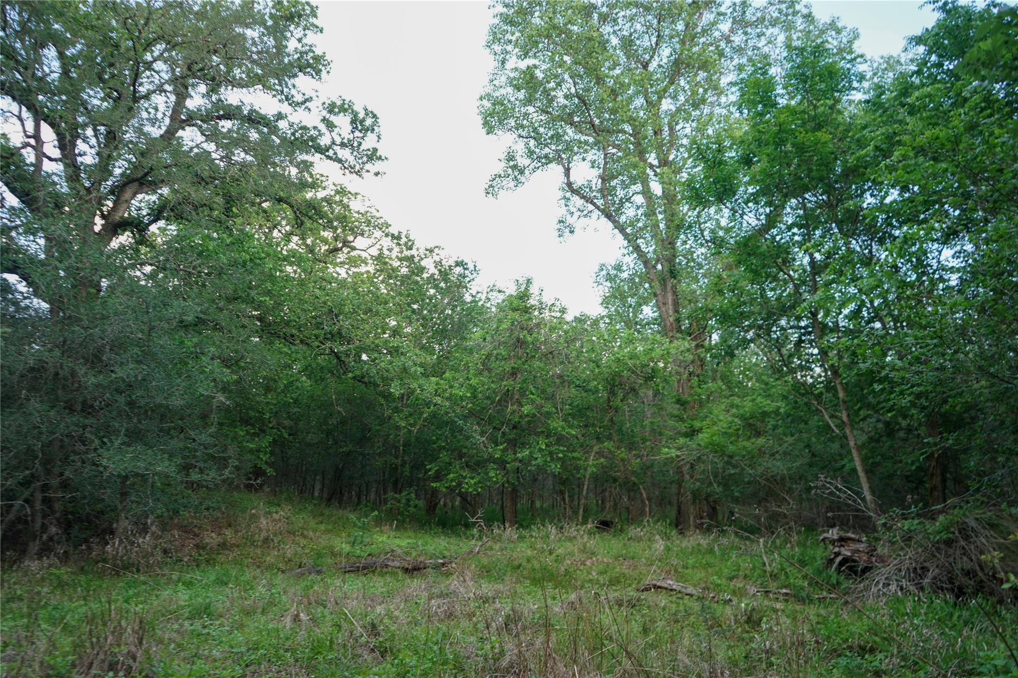 00 Mcdonald Lane None Property Photo 8