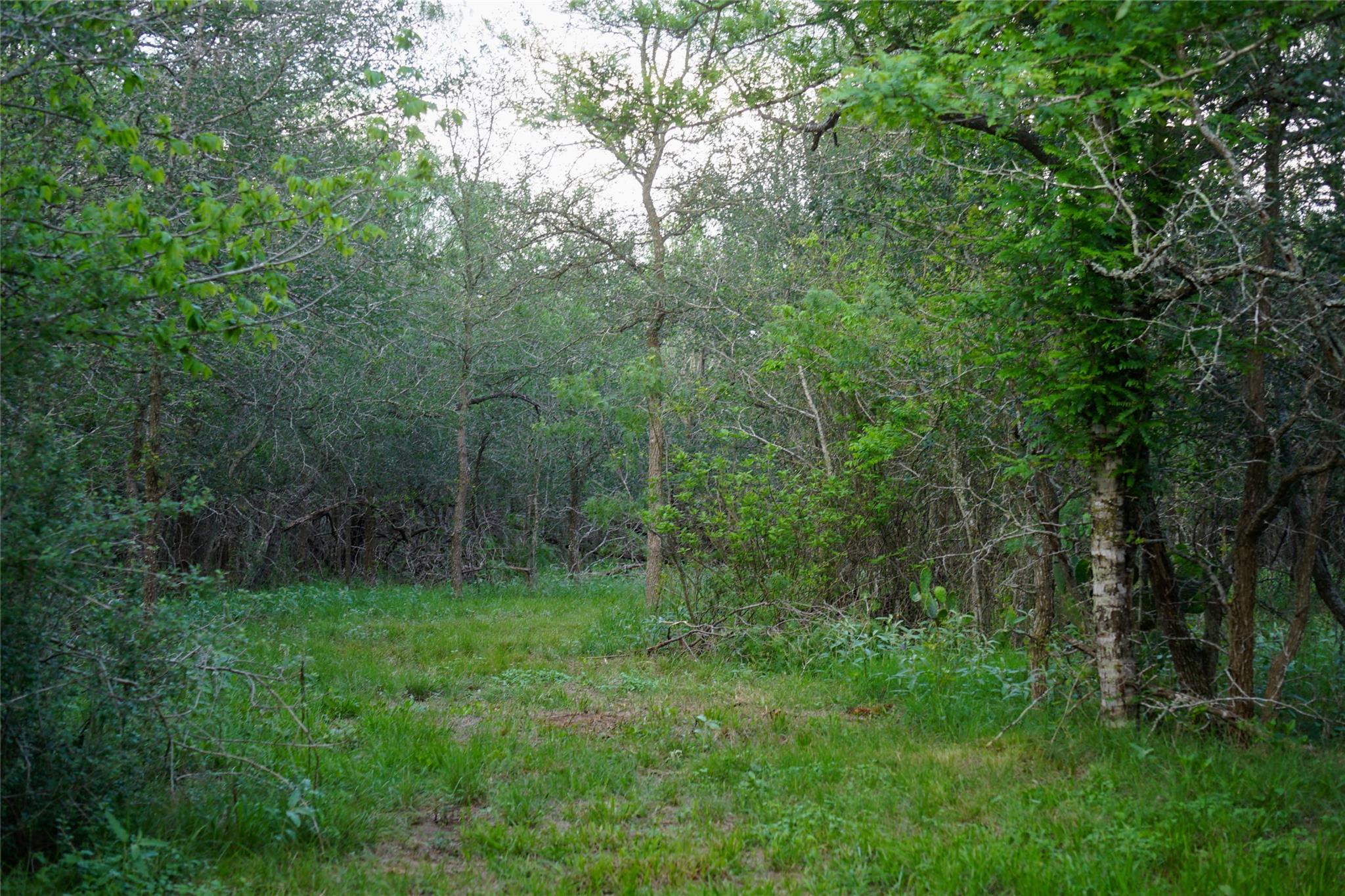 00 Mcdonald Lane None Property Photo 19