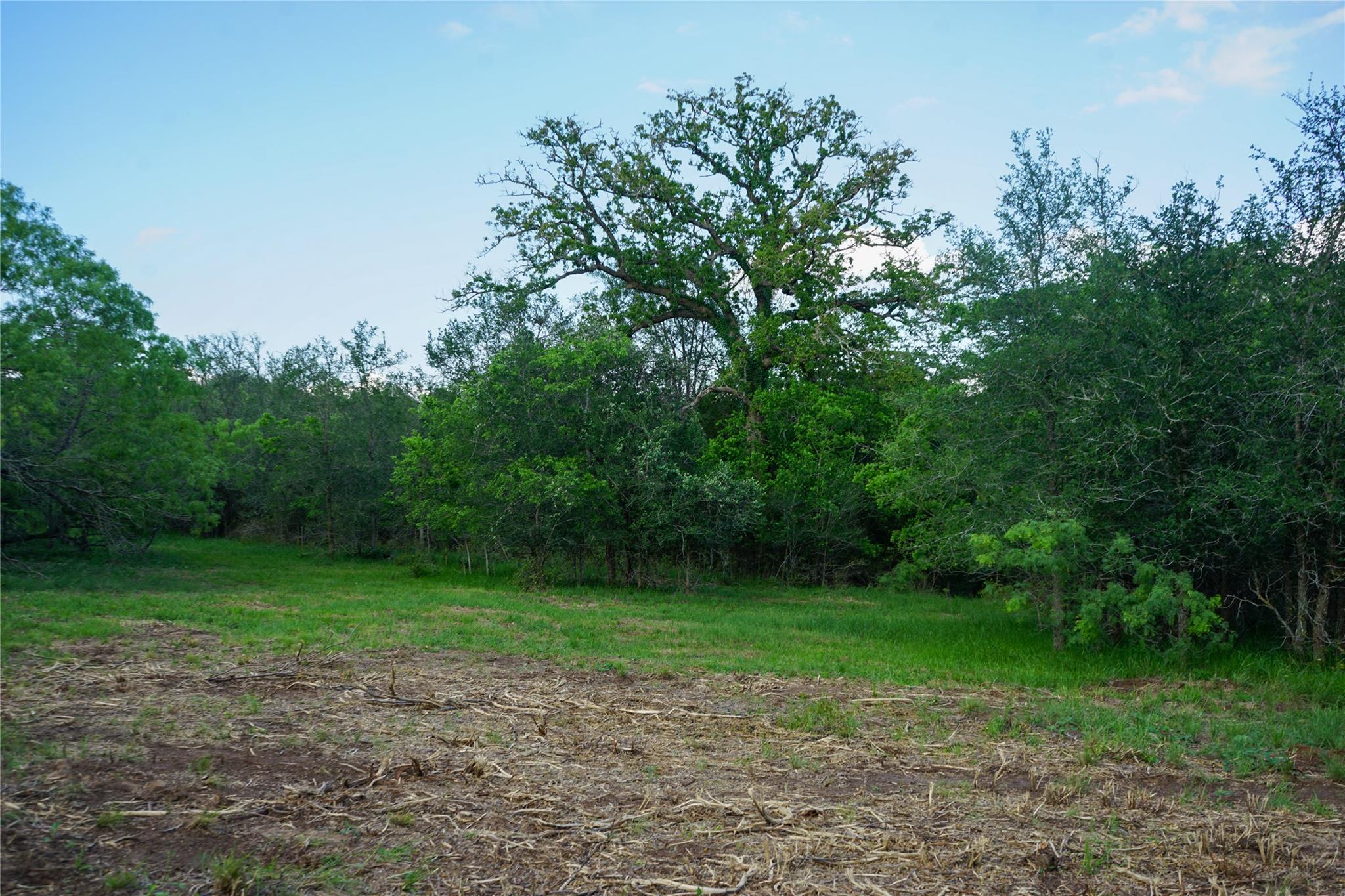 00 Mcdonald Lane None Property Photo 21