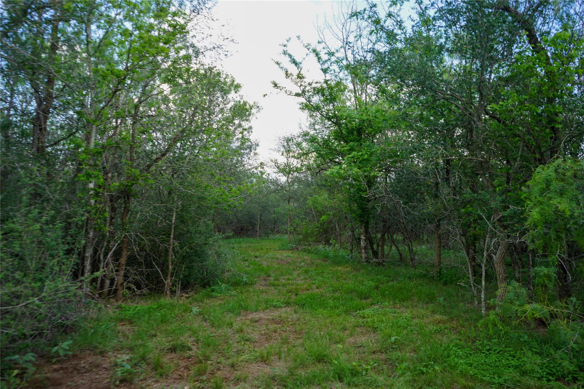 00 Mcdonald Lane None Property Photo 23