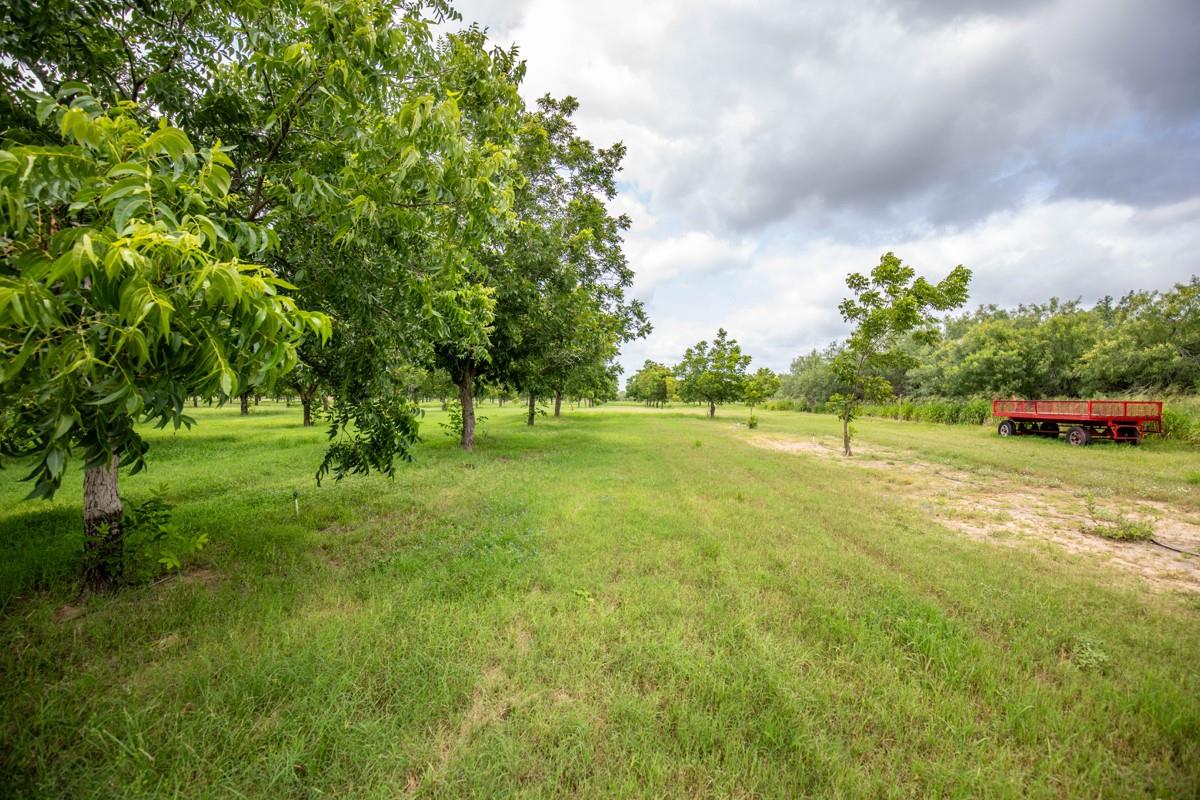 2432 County Road 402 None Property Photo 6