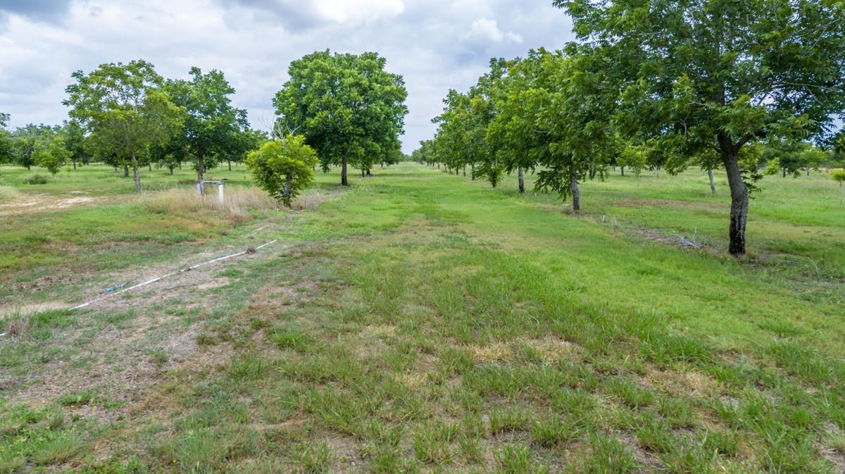 2432 County Road 402 None Property Photo 37