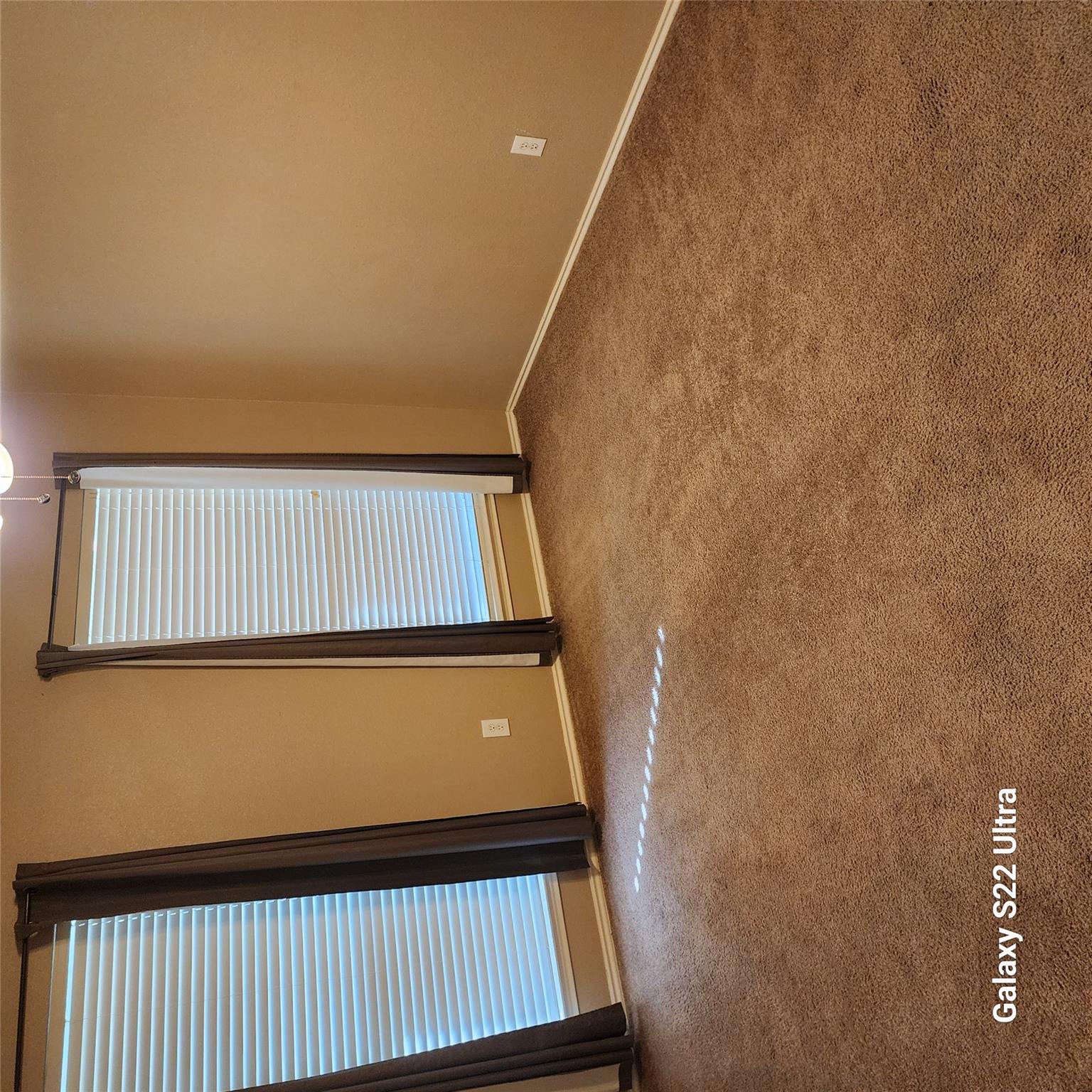 2341 Bluffstone Dr Property Photo 15