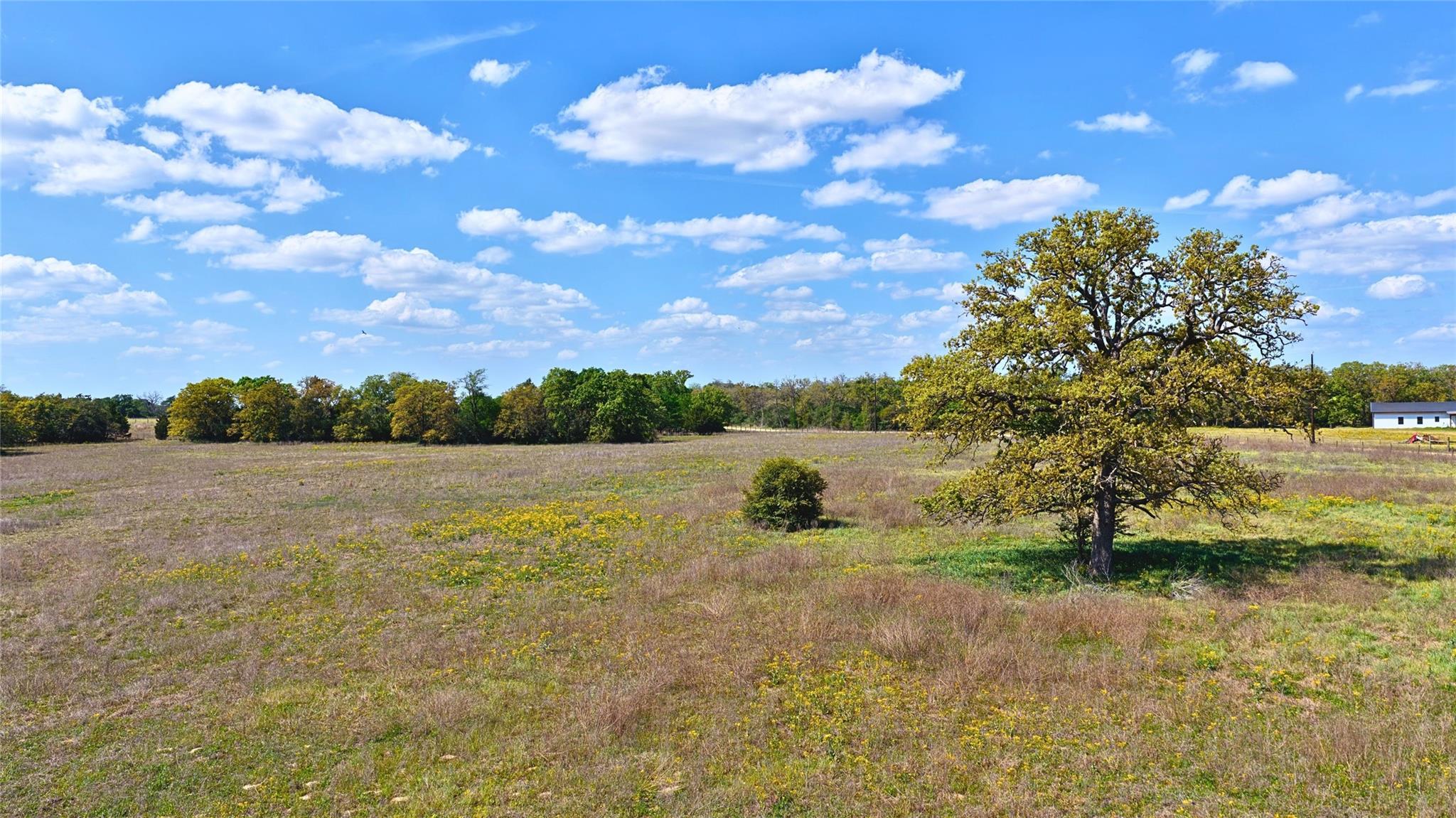 Tbd Legacy Road (5.41 Acres) None Property Photo 4