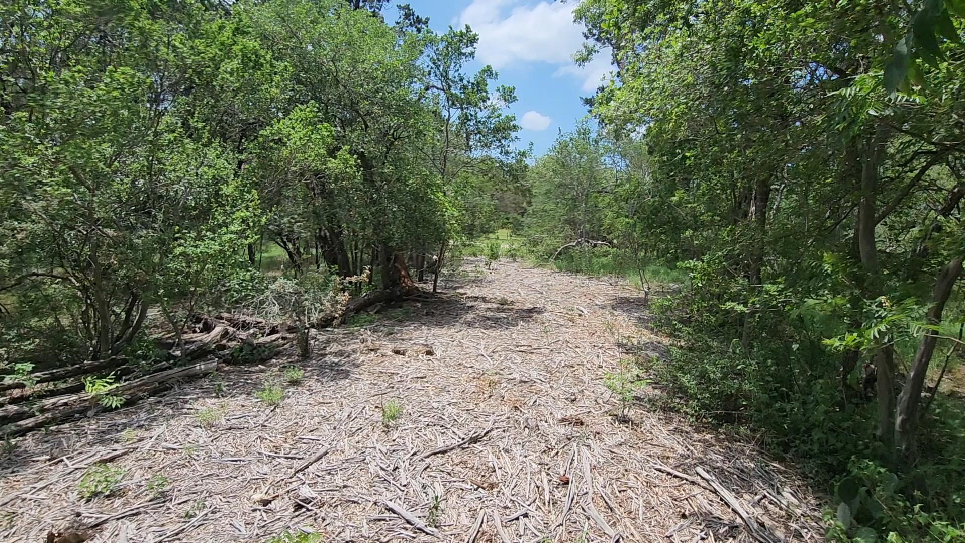 410 Owl Hollow Rd Property Photo 2