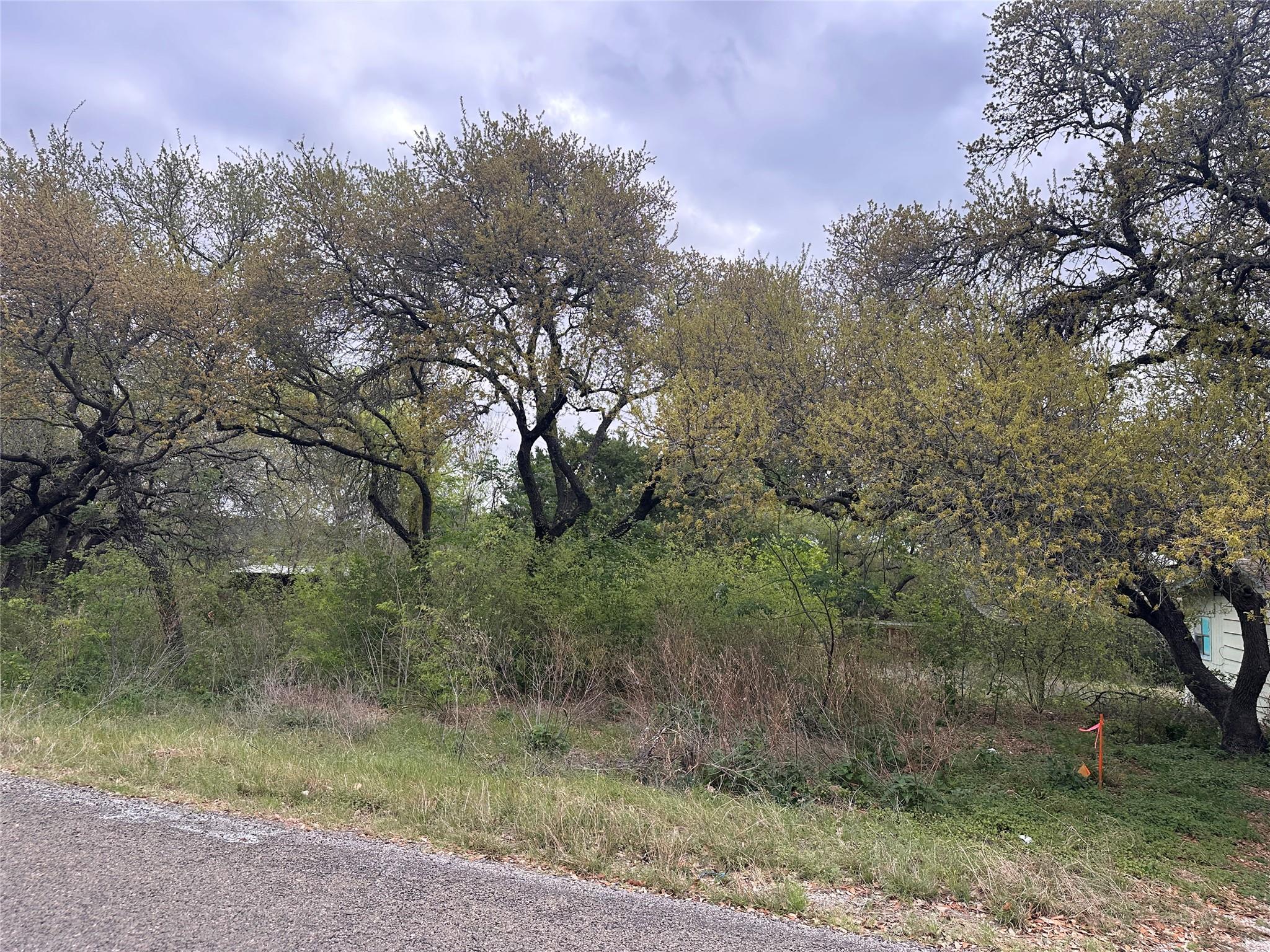 10509 W Lakeview Dr Property Photo 3