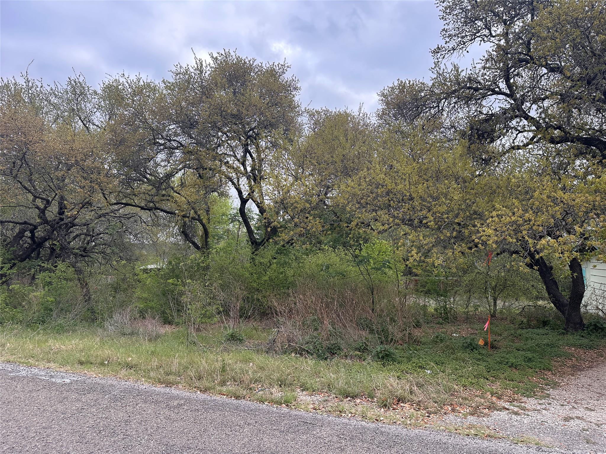 10509 W Lakeview Dr Property Photo 4