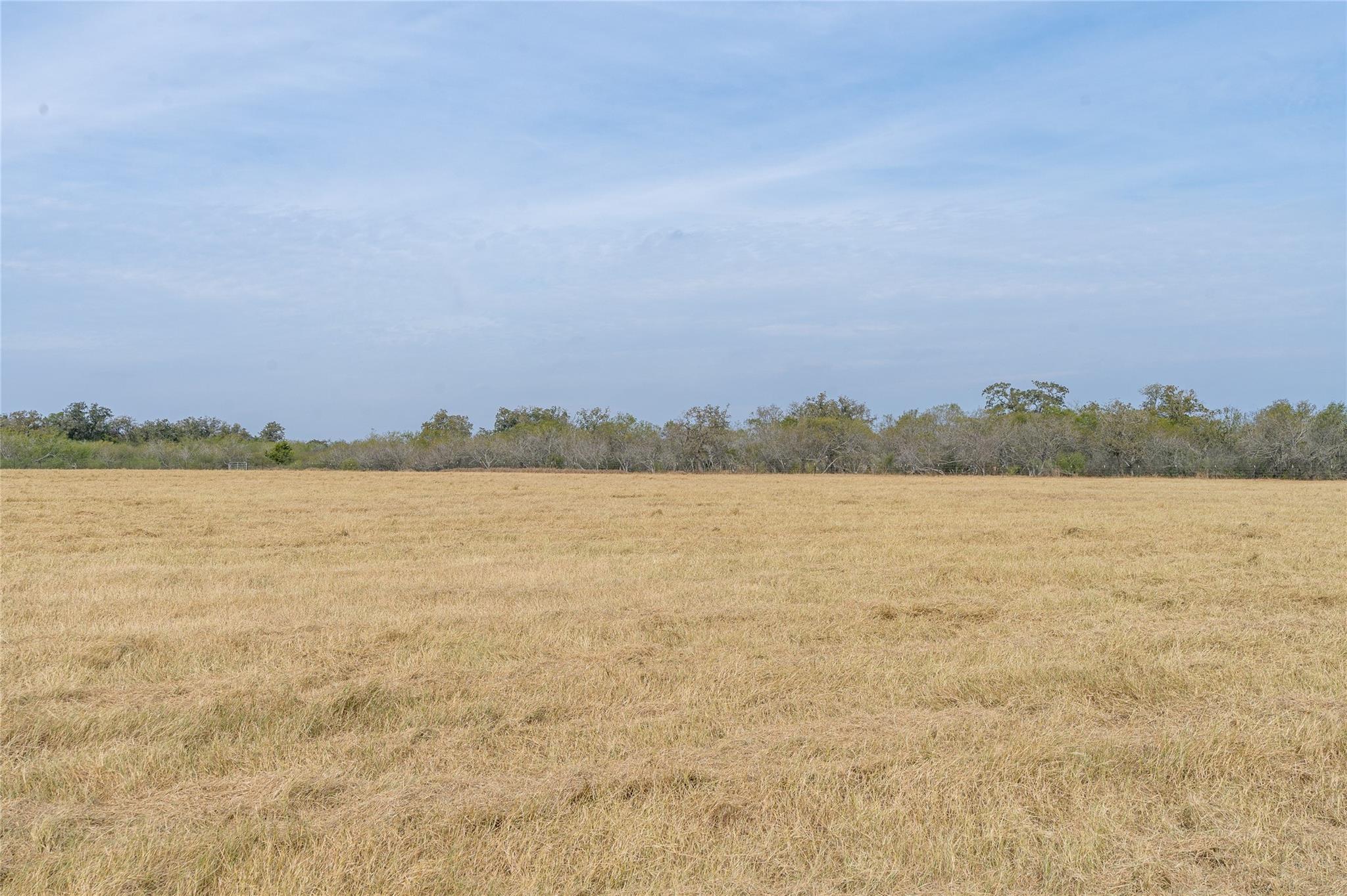 956 Johnson Farms Rd Property Photo 18