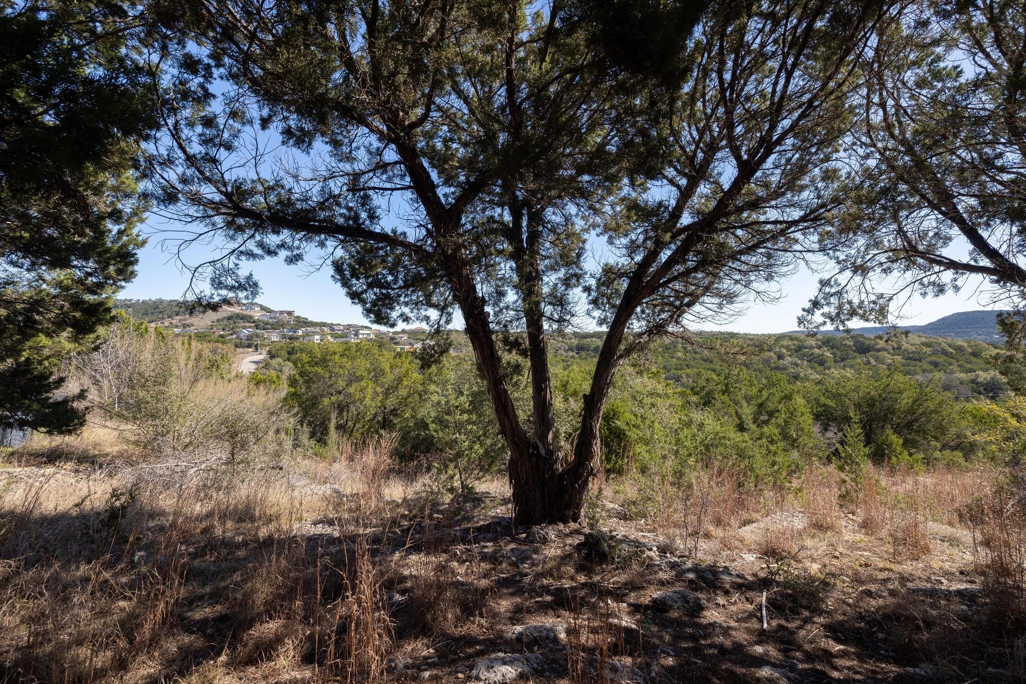 8209 Moon Rise Trl Property Photo 5