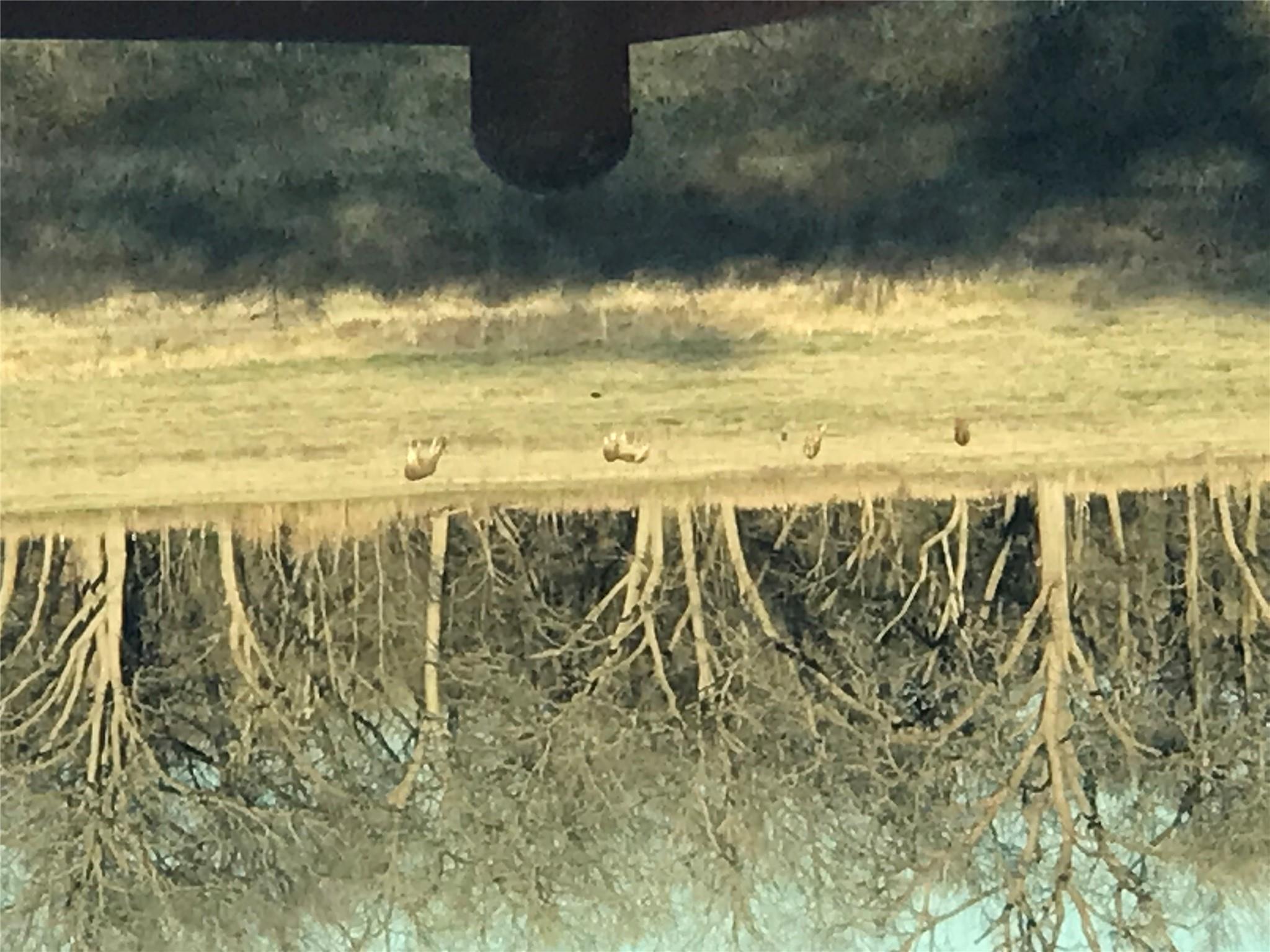 465 Oak Grove Rd Property Photo 4