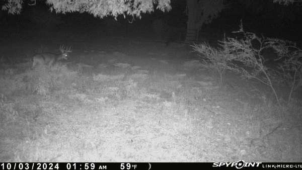 465 Oak Grove Rd Property Photo 10