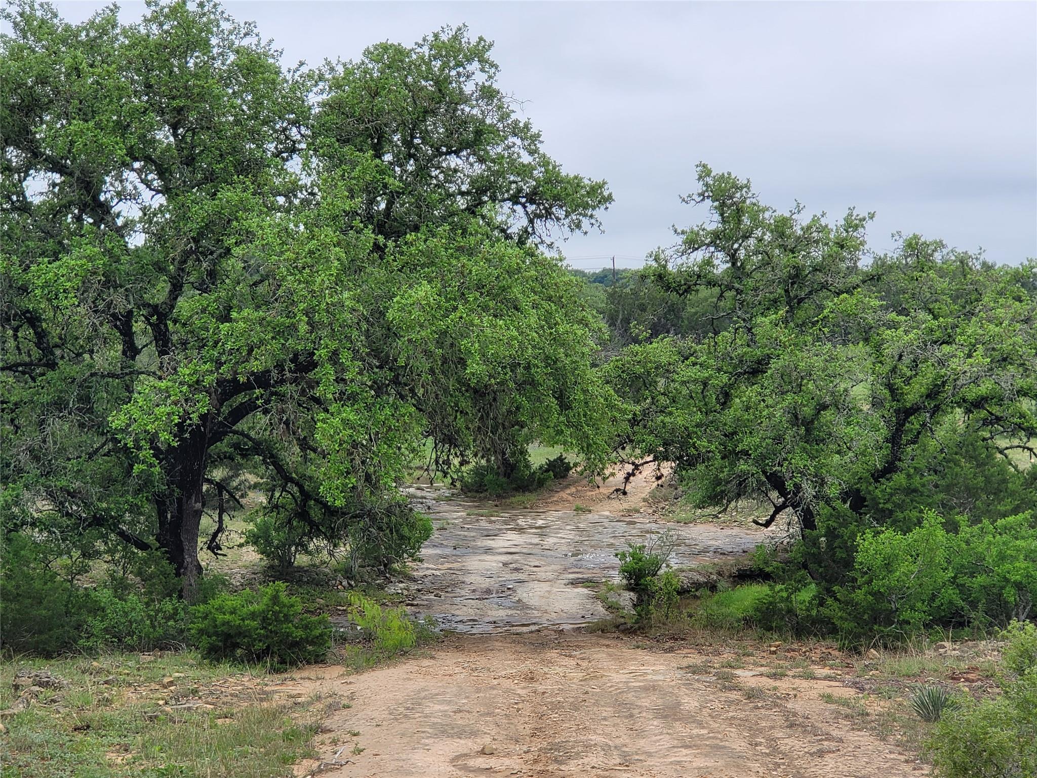9939 County Road 404 None Property Photo 5