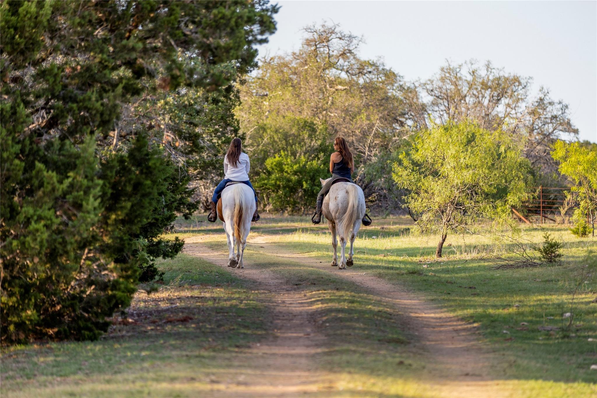 9939 County Road 404 None Property Photo 8